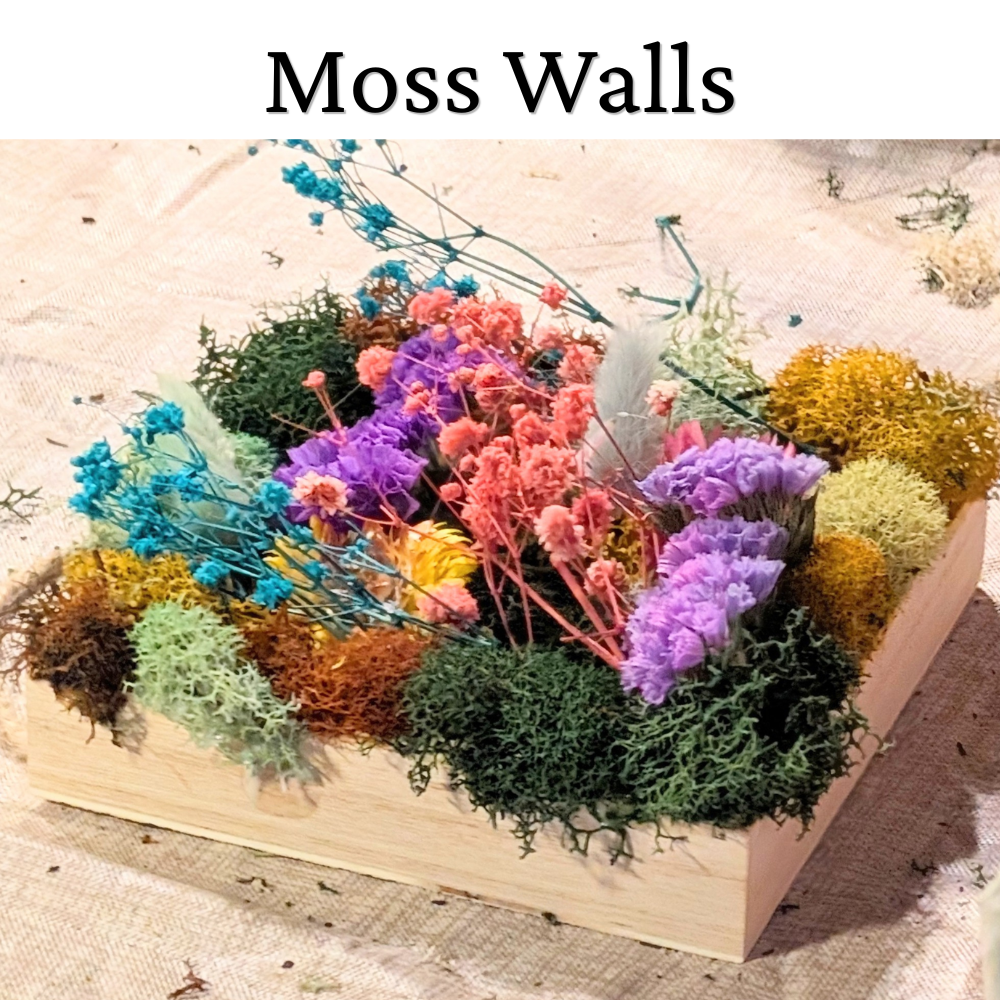 MOSS WALLS