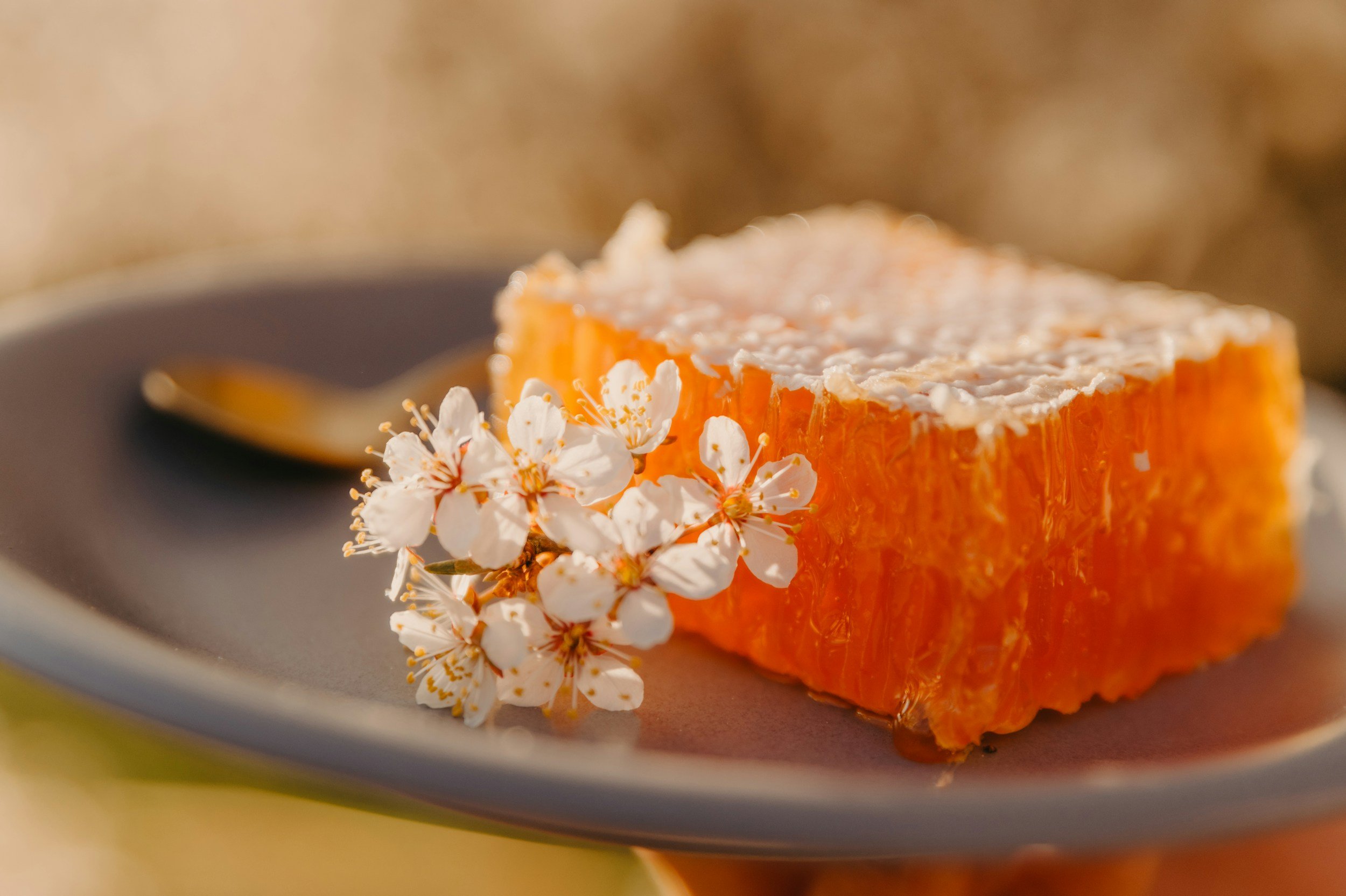 A piece of orange honeycomb resembling a bar of soap , garnished with small white flowers, served on a grey plate.