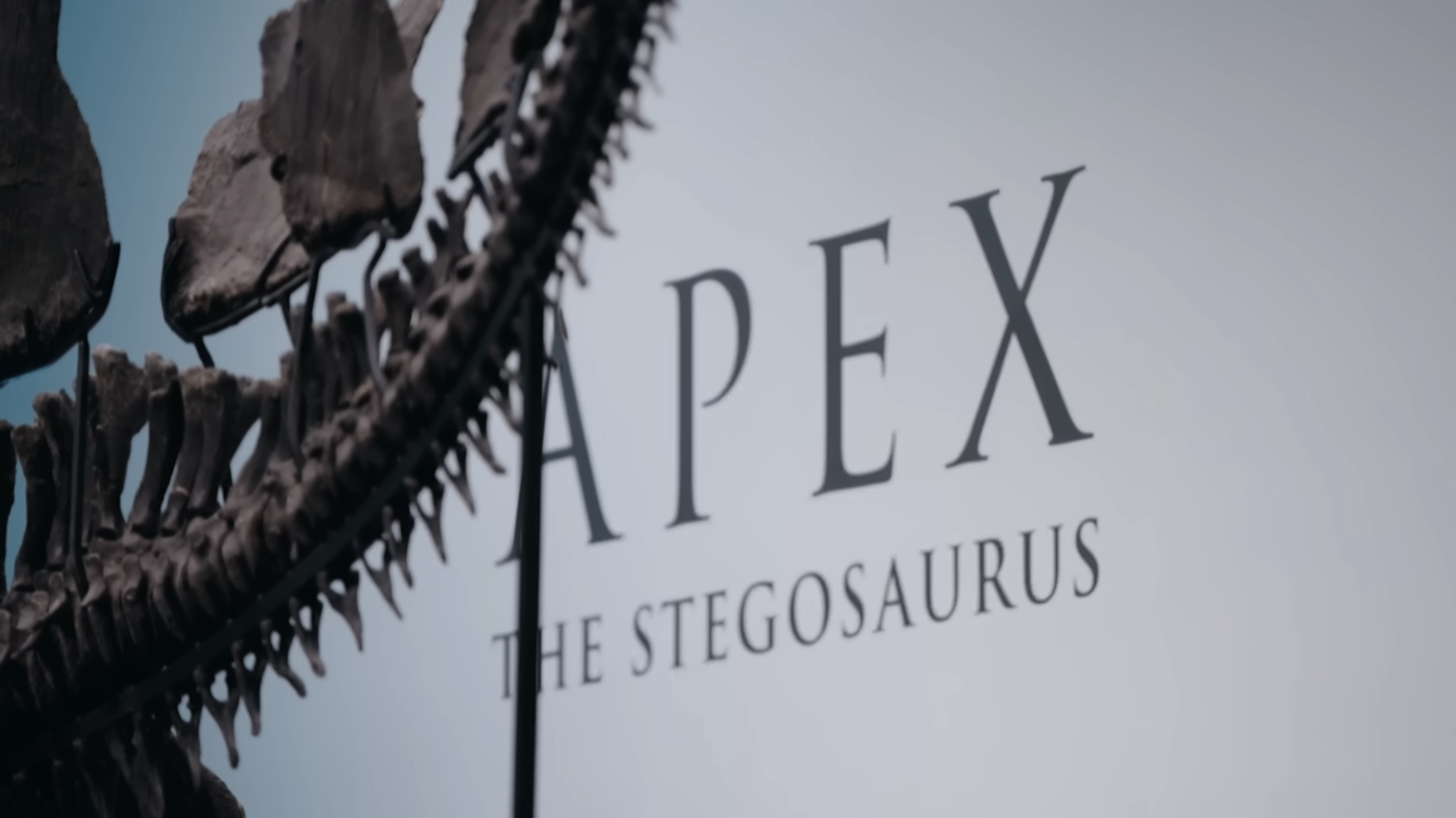 Still_CNA_dinosaur market 4.png