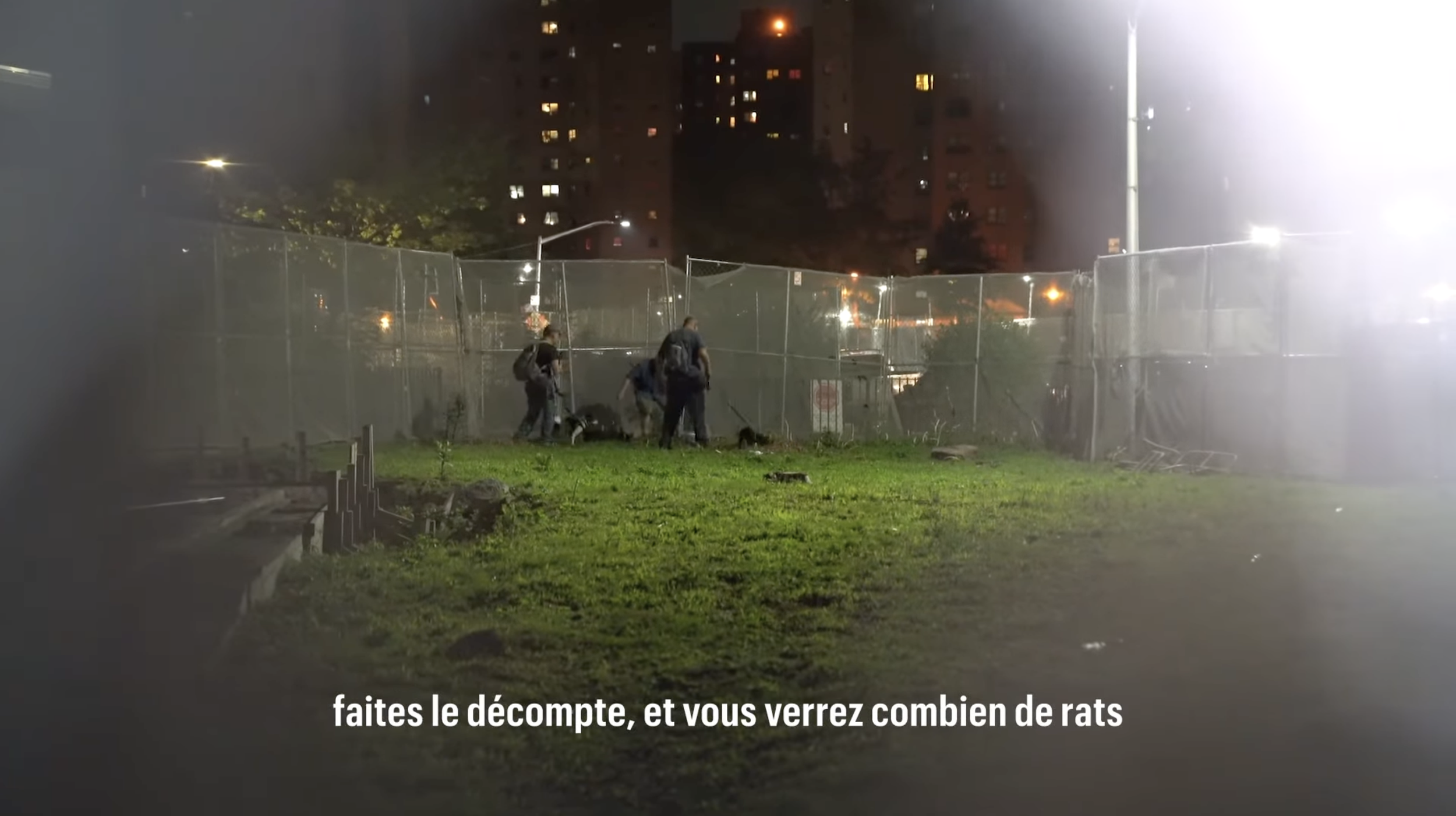 Stills_LP_Rats_9.png
