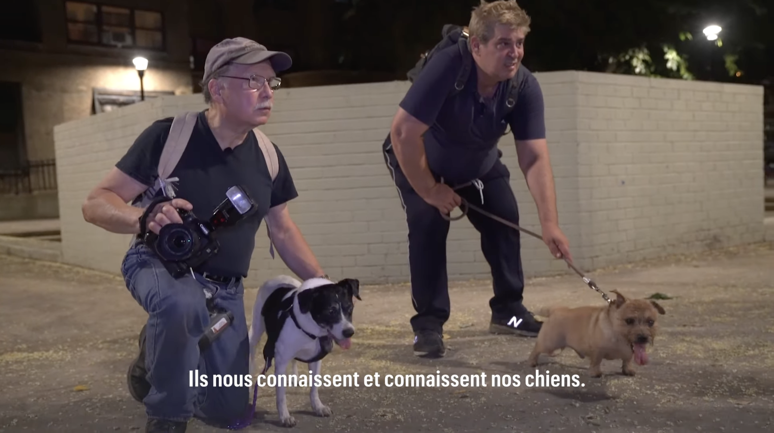 Stills_LP_Rats_10.png