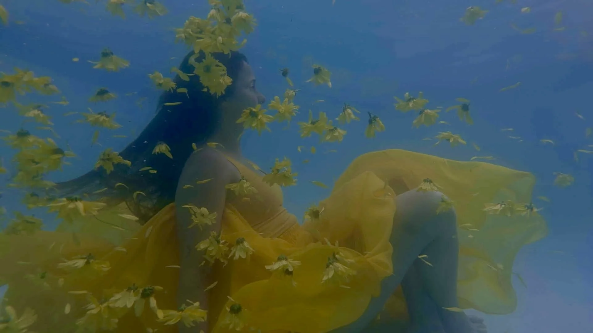 Buscando a Flora (2026)