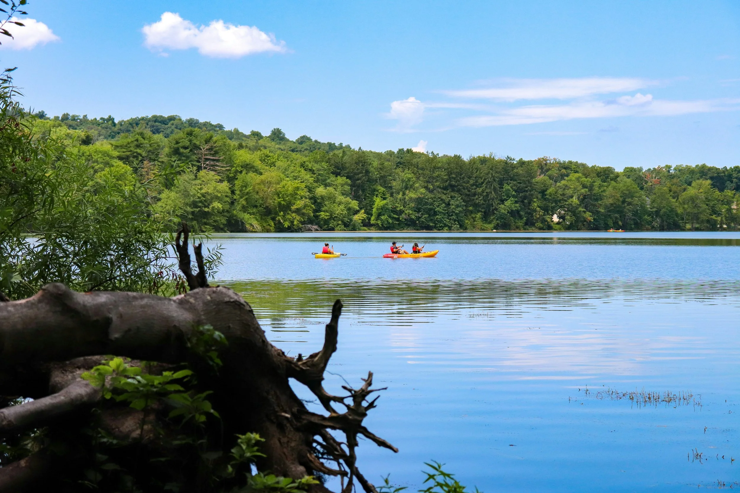 People kayaking on a calm lake surrounded by green trees and hills, with a clear blue sky overhead.