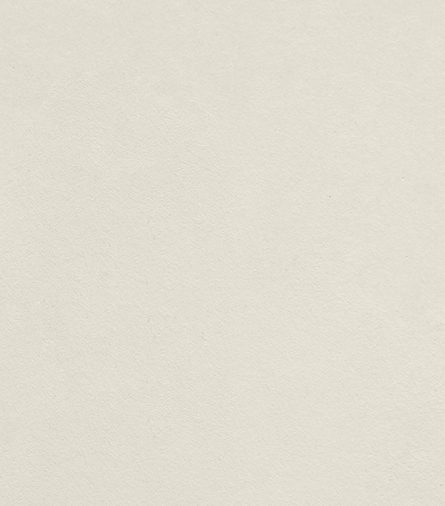 Plain, off-white textured paper background.