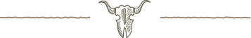 A minimal black and white line drawing of a longhorn steer skull with horns.