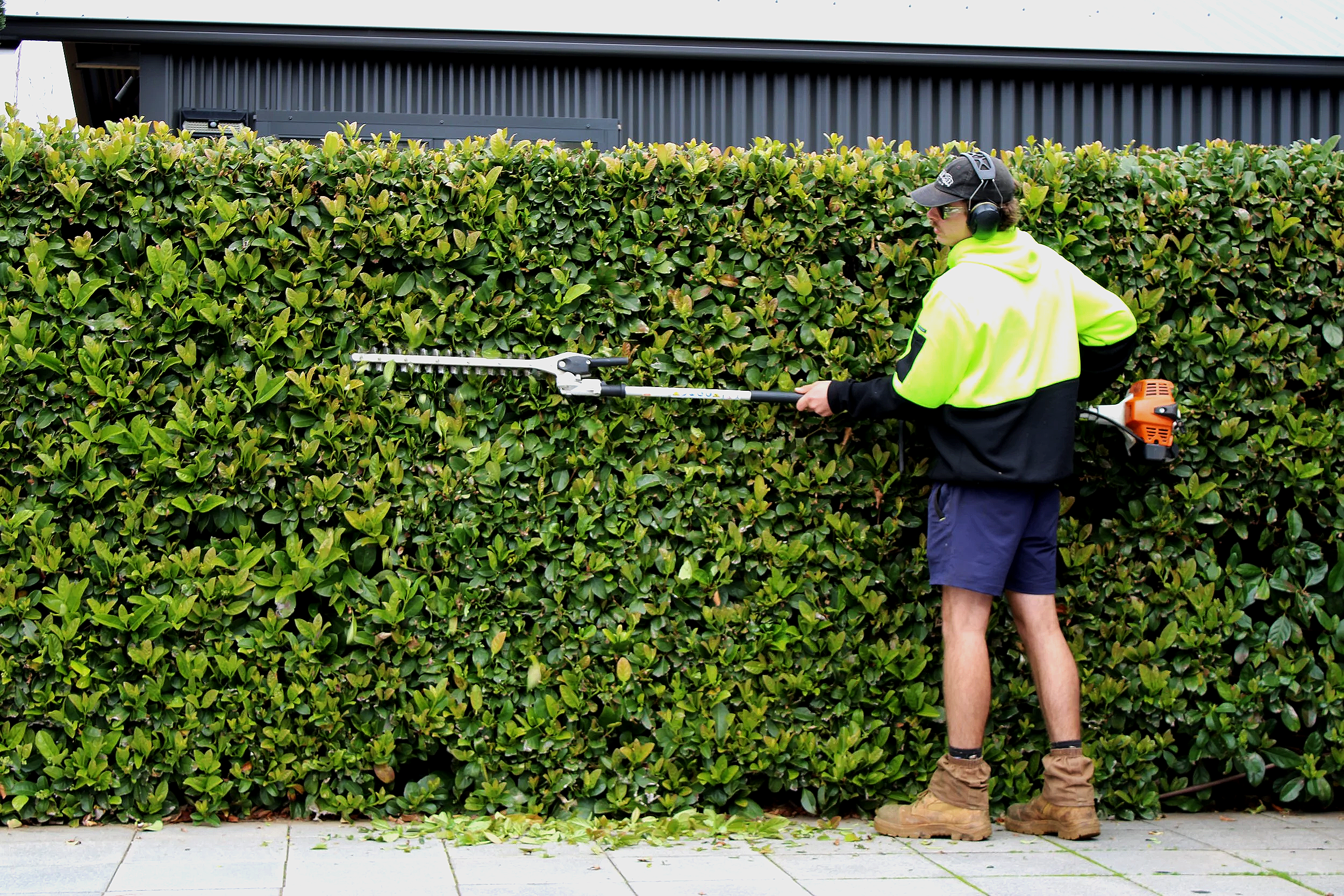 A man wearing a neon yellow jacket, brown work boots, and a baseball cap is trimming a large green hedge with electric hedge clippers. He is standing on a sidewalk in front of the hedge, with a building in the background.