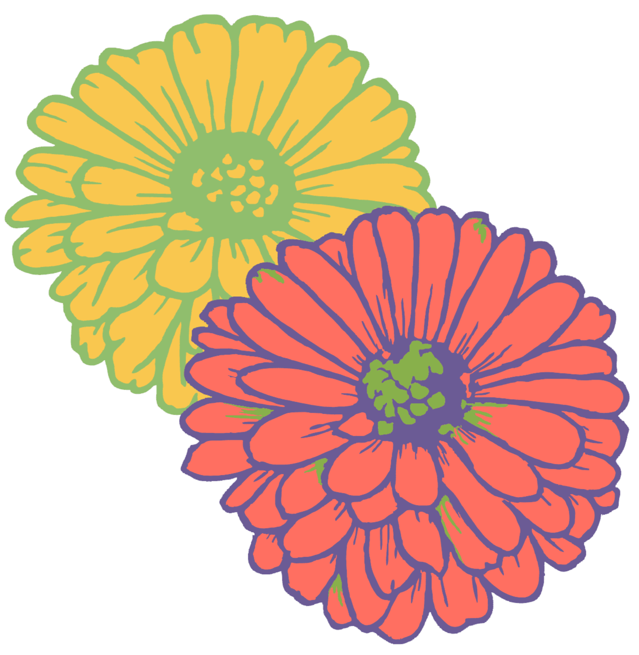Colorful illustration of two flowers, one yellow and one orange with purple outlines, overlapping each other.