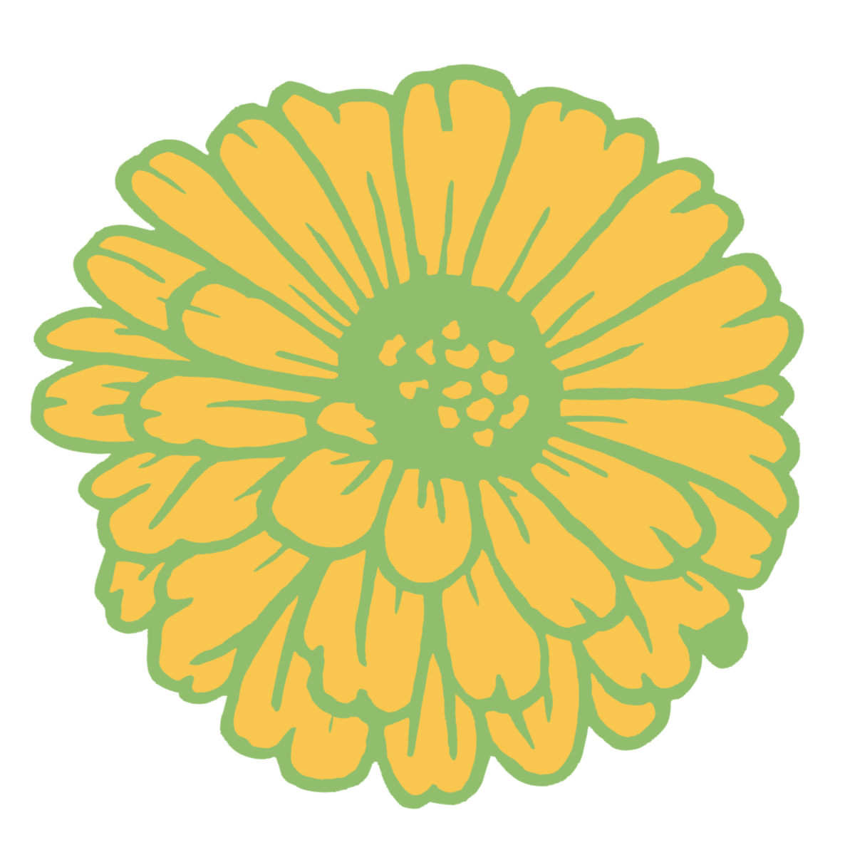 A stylized illustration of a yellow and green flower. The flower has multiple petals with a circular center.