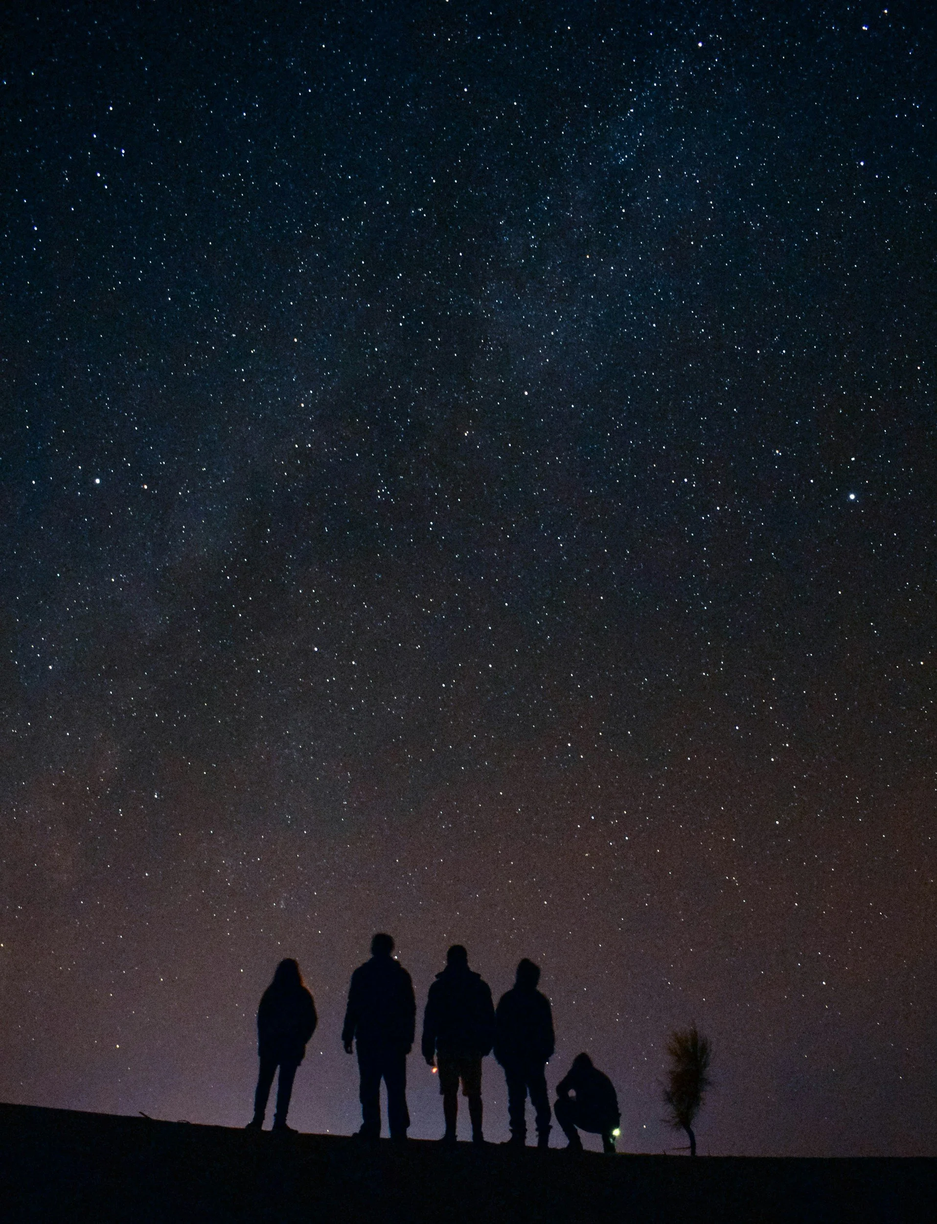 Five people standing on a hill observing a star-filled night sky with many stars and the Milky Way galaxy.