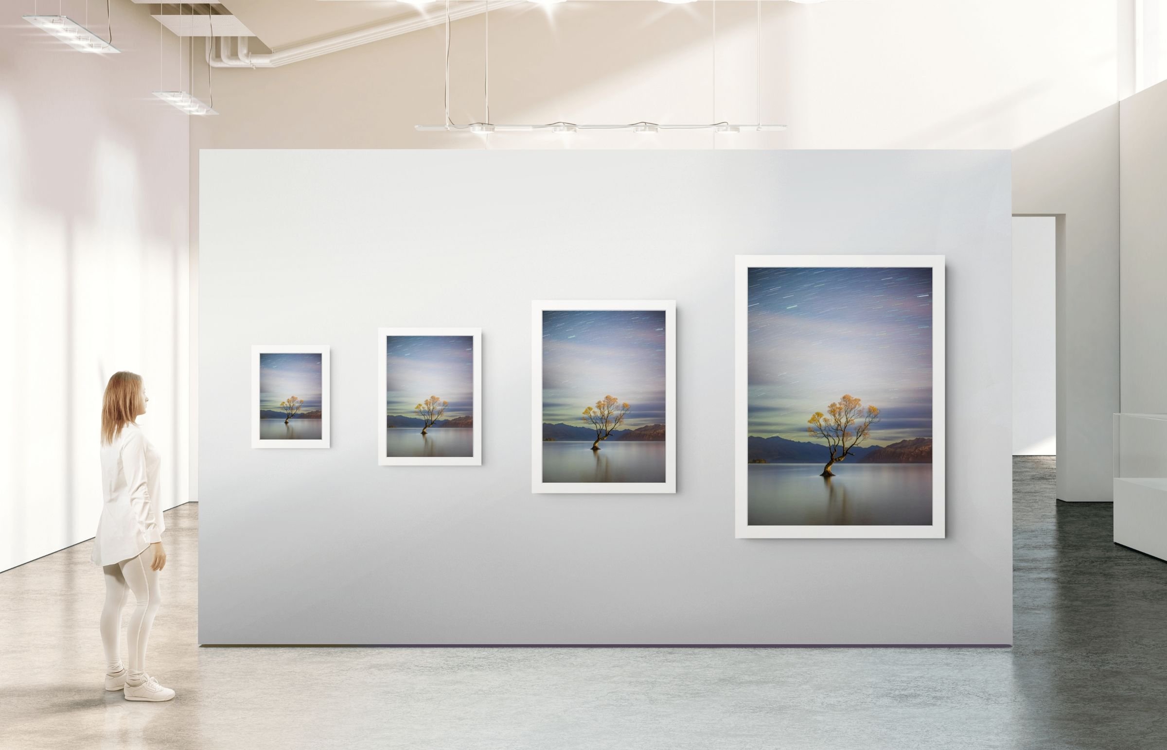 metal-wanaka-gallery-size-guide-display.jpg