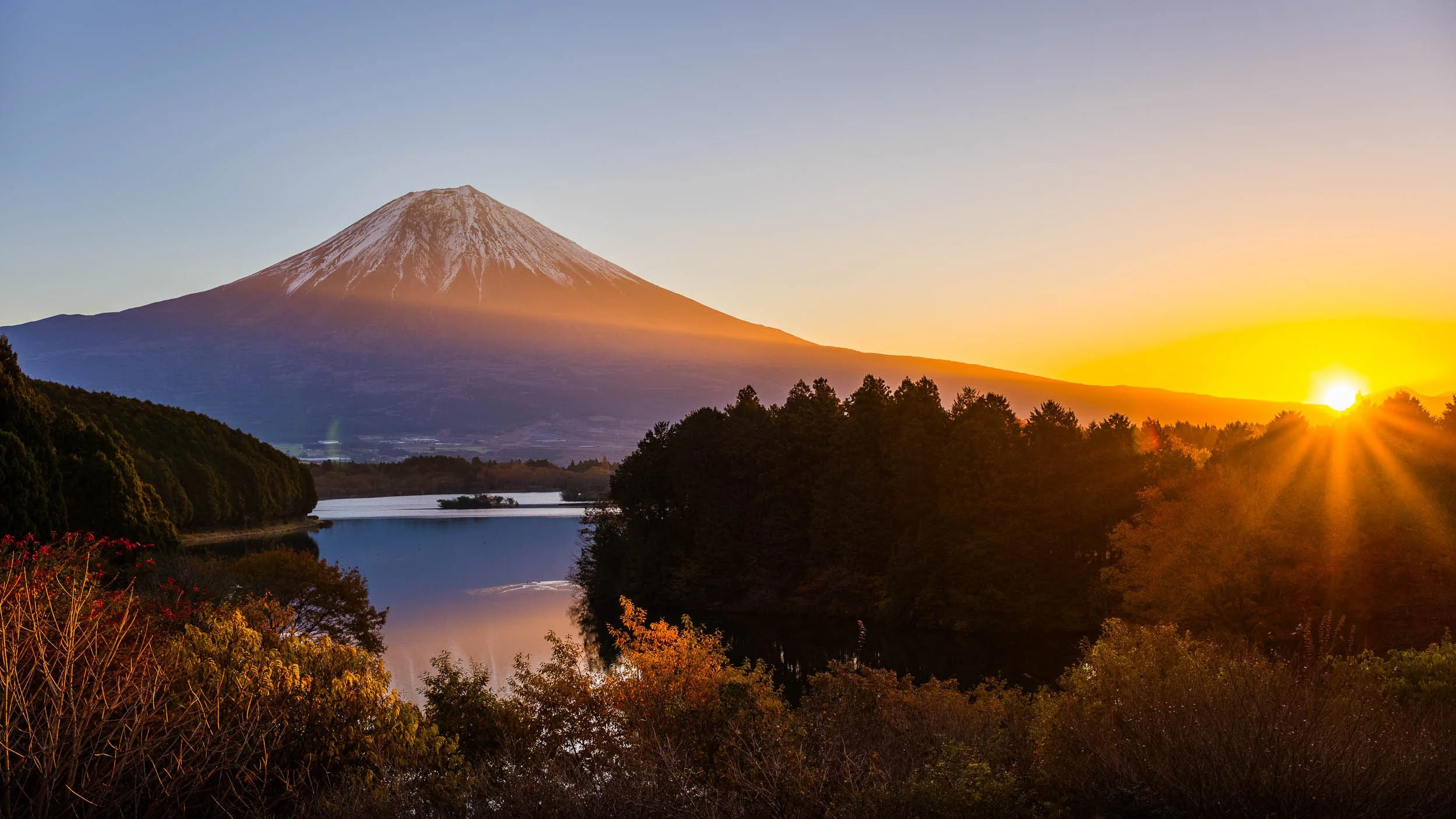 Say Fuji, Say Yes — Limited Edition