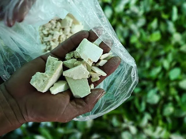 COLOMBIA COCA 2.jpg