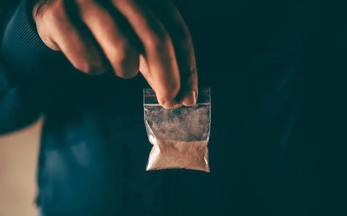 FISH SCALE COCA 3.jpg