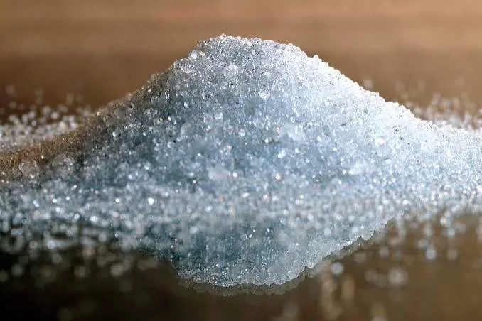 FISH SCALE COCA 2.jpg
