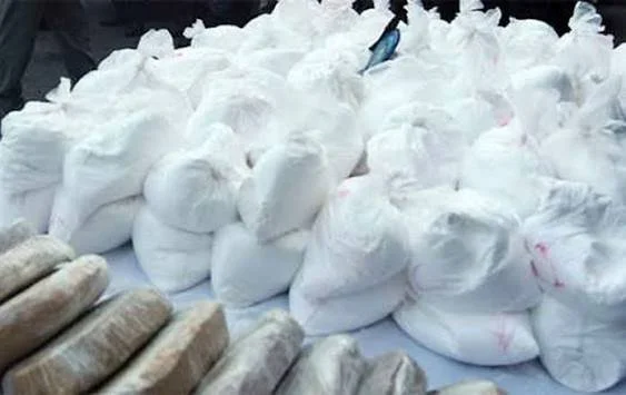 BOLIVIAN COCA 2.jpg