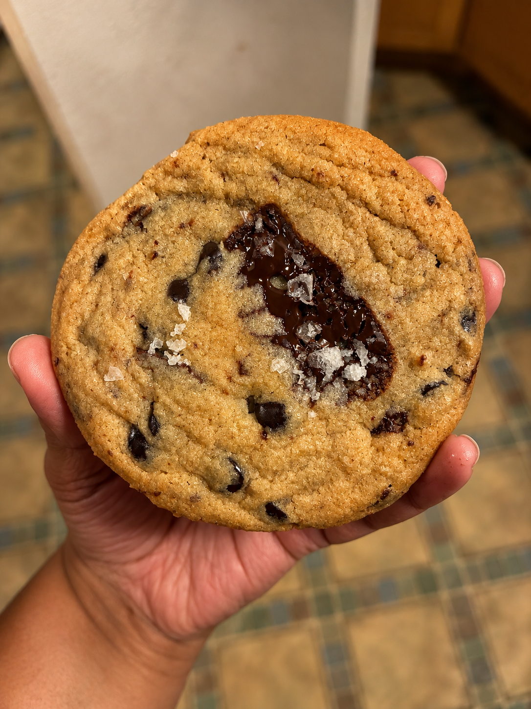 Chocolate Chip Cookie