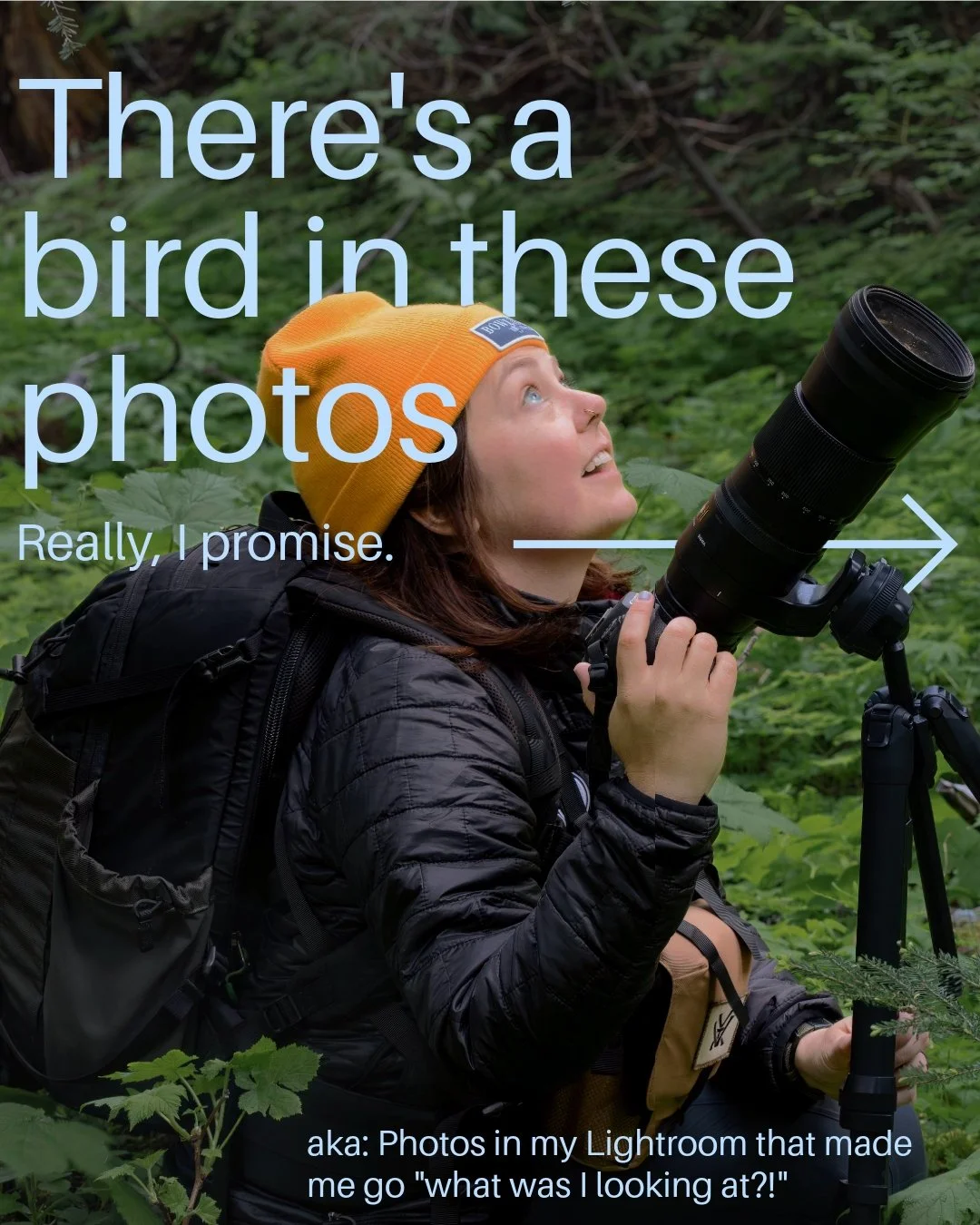 Currently on a mission to FINALLY cull all my Lightroom photos from years and years back (plz don't judge) and just couldn't get rid of these guys. Sometimes bird photography is about taking good photos, and sometimes it's about figuring out what in 