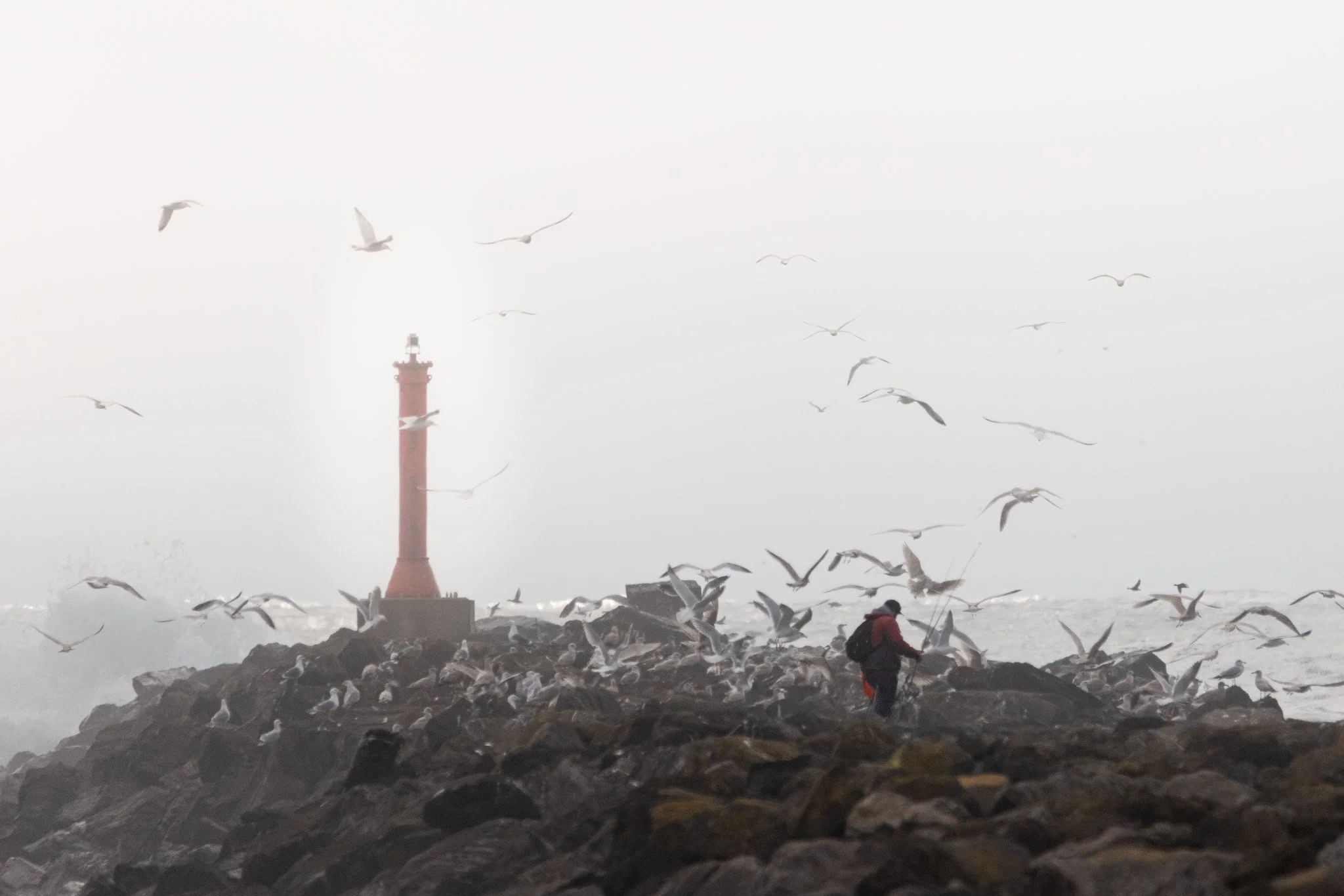 Coast-2.jpg