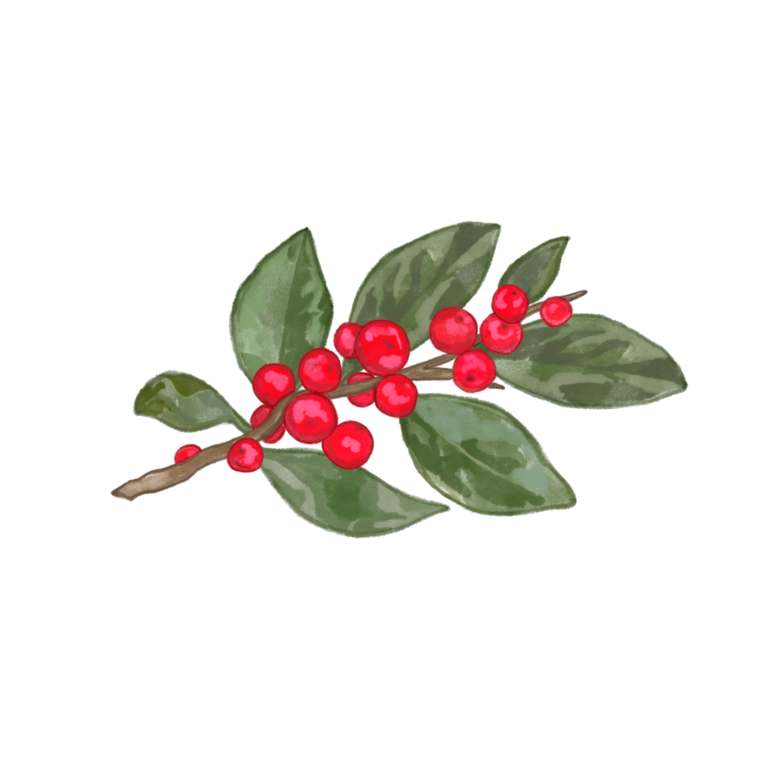 Winterberry Education logo