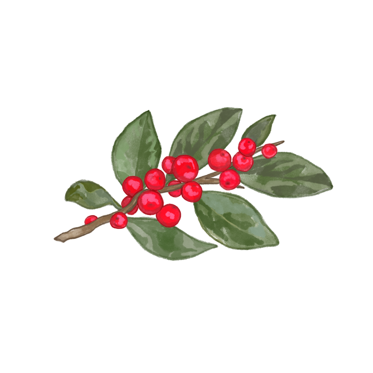 Winterberry Education