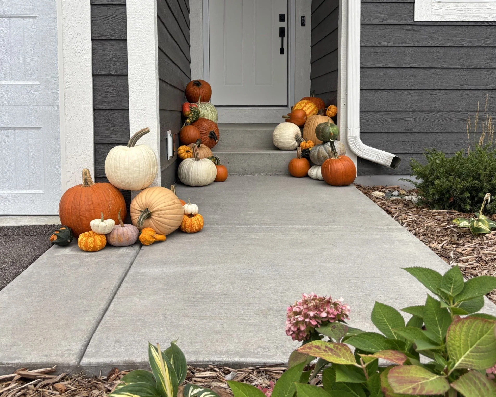 The Warm Welcome