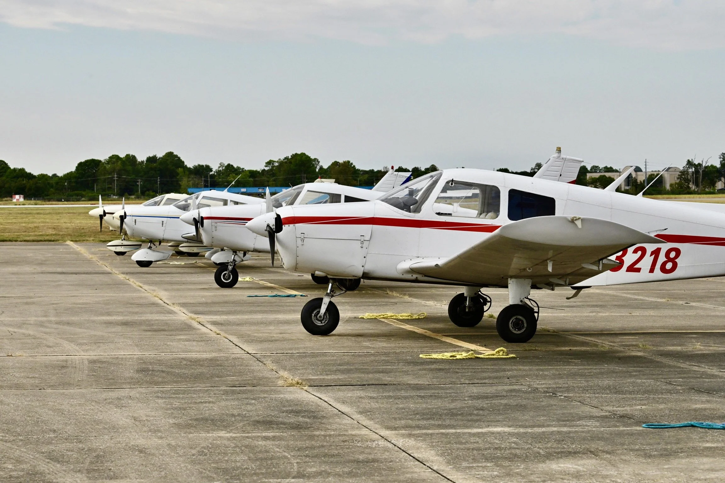 Multiple small white aircraft with red and blue stripes are parked on a tarmac.