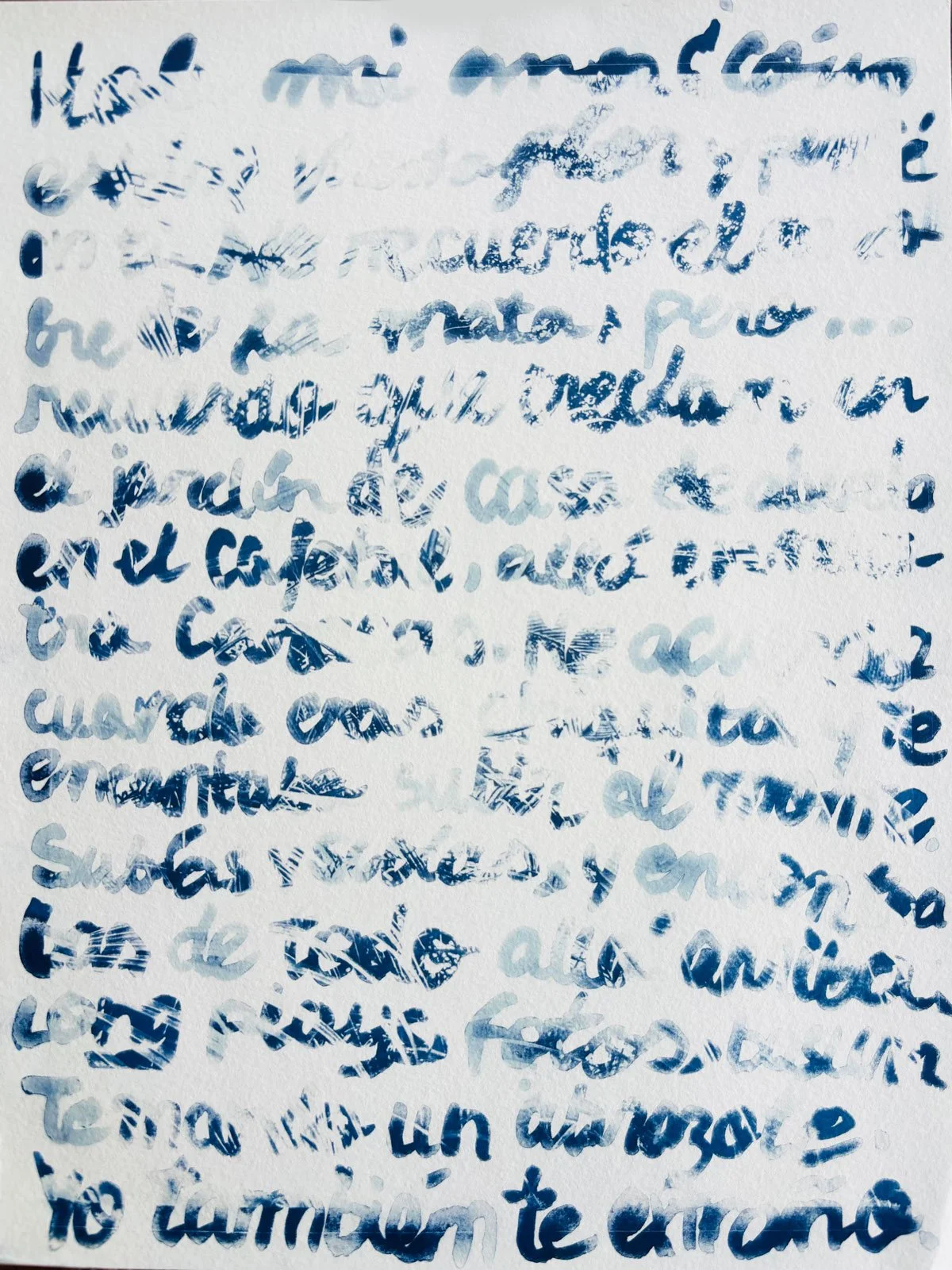 "Jardin de la Memoria" Cyanotype on Paper. Transcript of a whatsapp voice note from my father about his garden. 