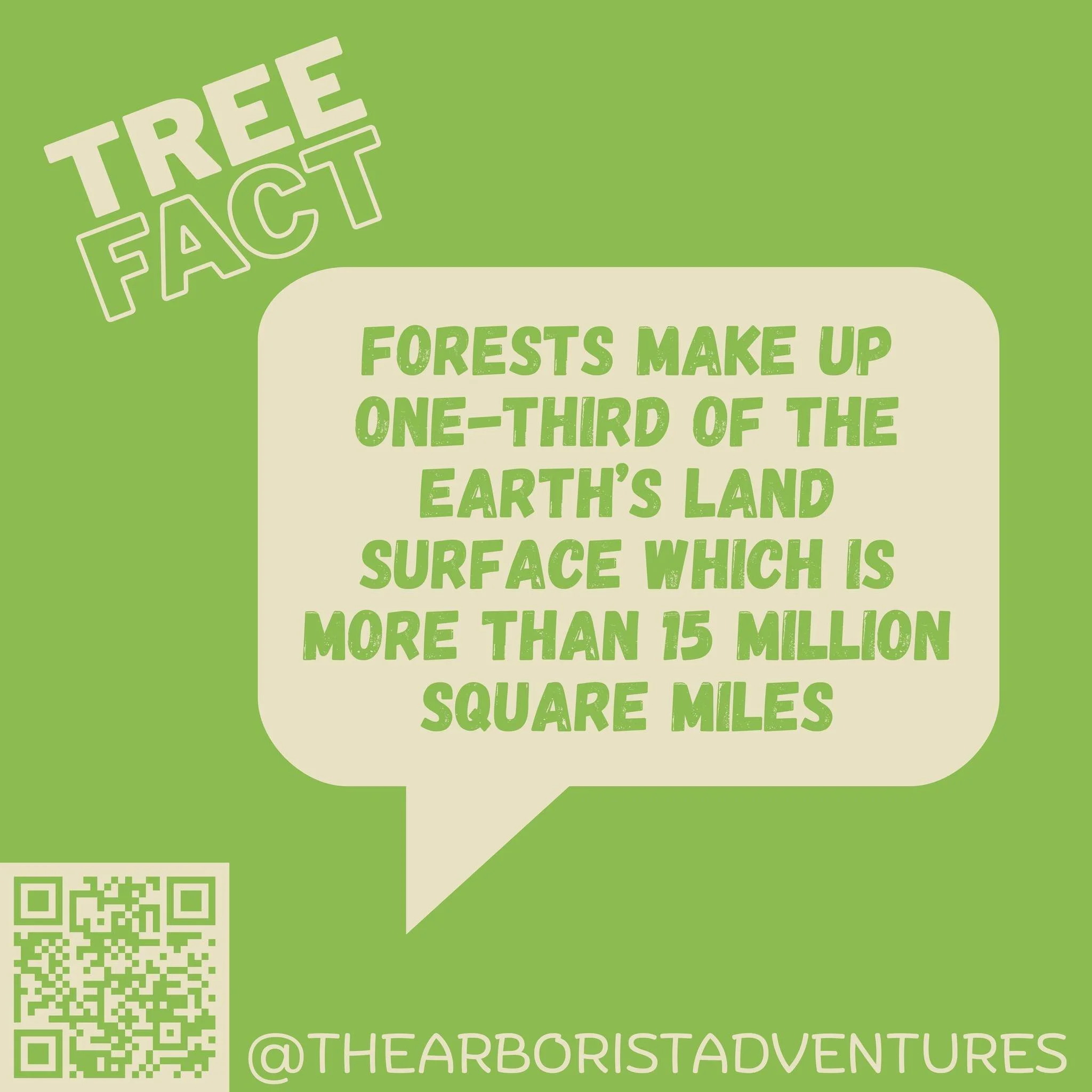 🌳 Tree Fact Tuesday 🌍

Did you know that forests cover one-third of Earth's land surface? That's more than 15 million square miles of forests around the world! 🌲

These forests provide homes for wildlife, help clean the air we breathe, and play an