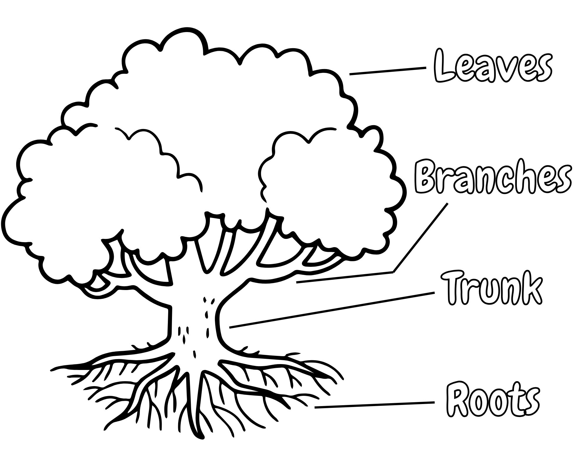 Parts of a Tree