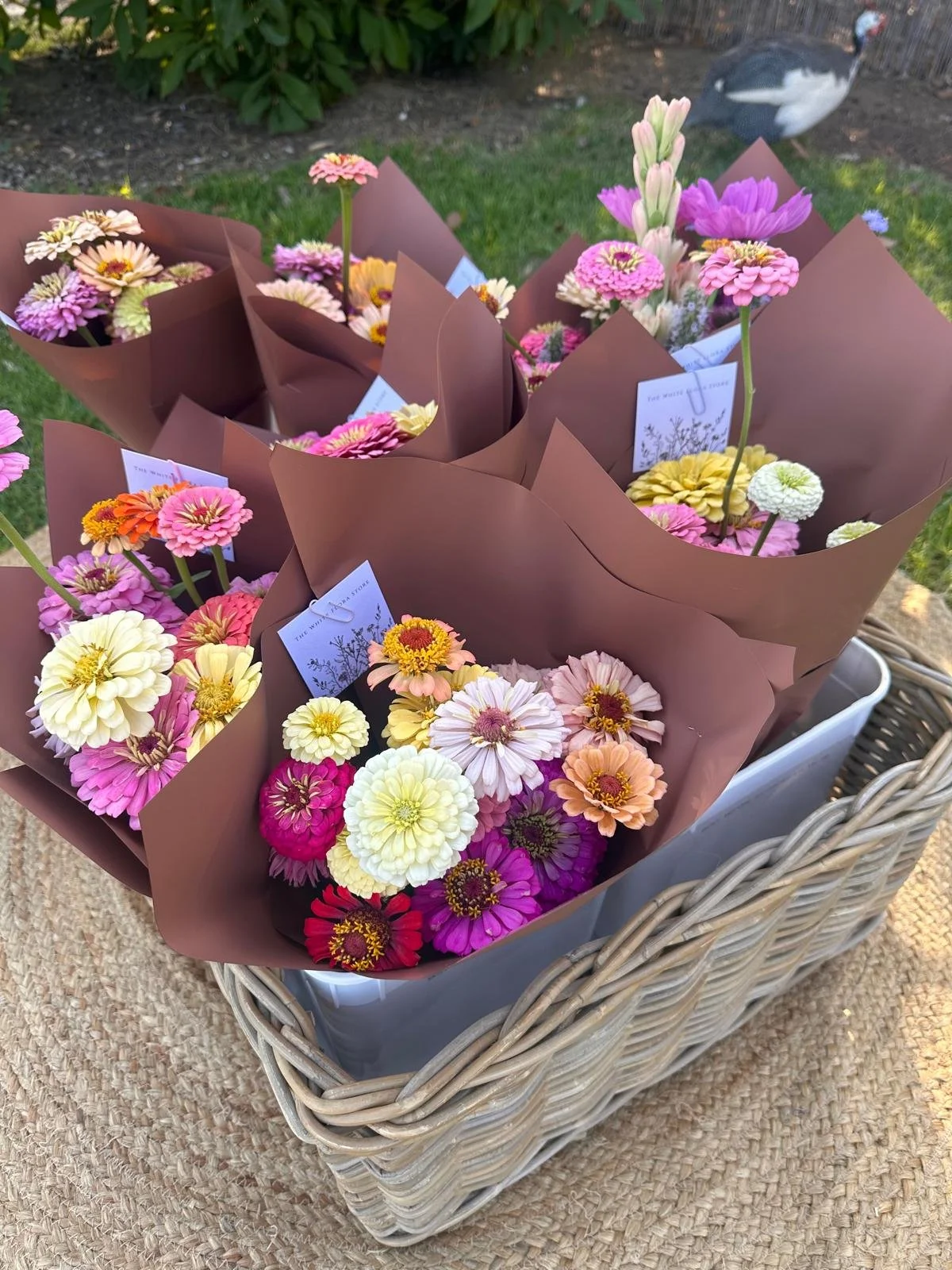 Multiple colorful flower bouquets with pink, yellow, orange, and white zinnias in a white wicker basket outdoors, with a goose in the background.