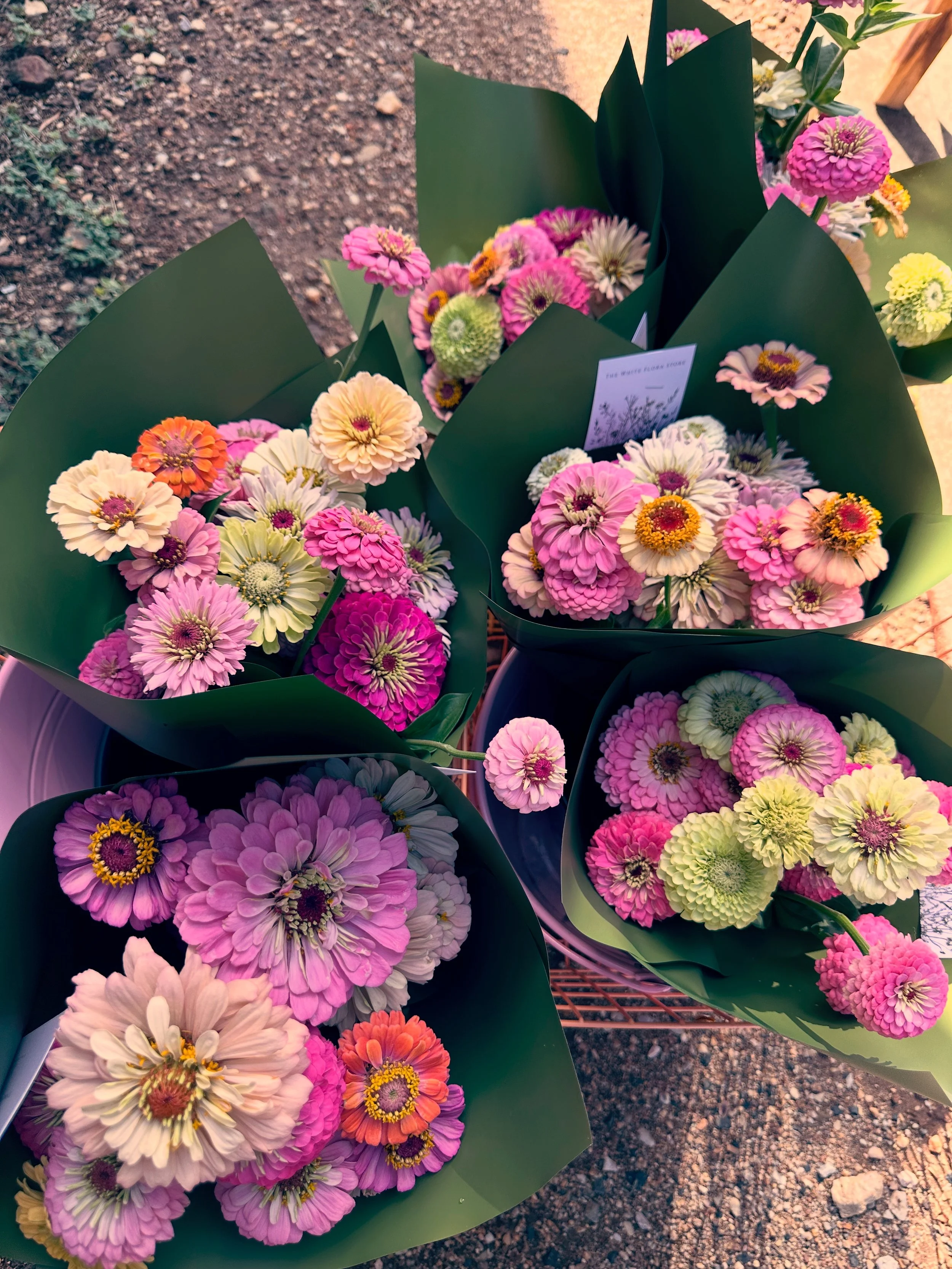Multiple bouquets of colorful flowers wrapped in green paper, placed outdoors on a gravel surface.