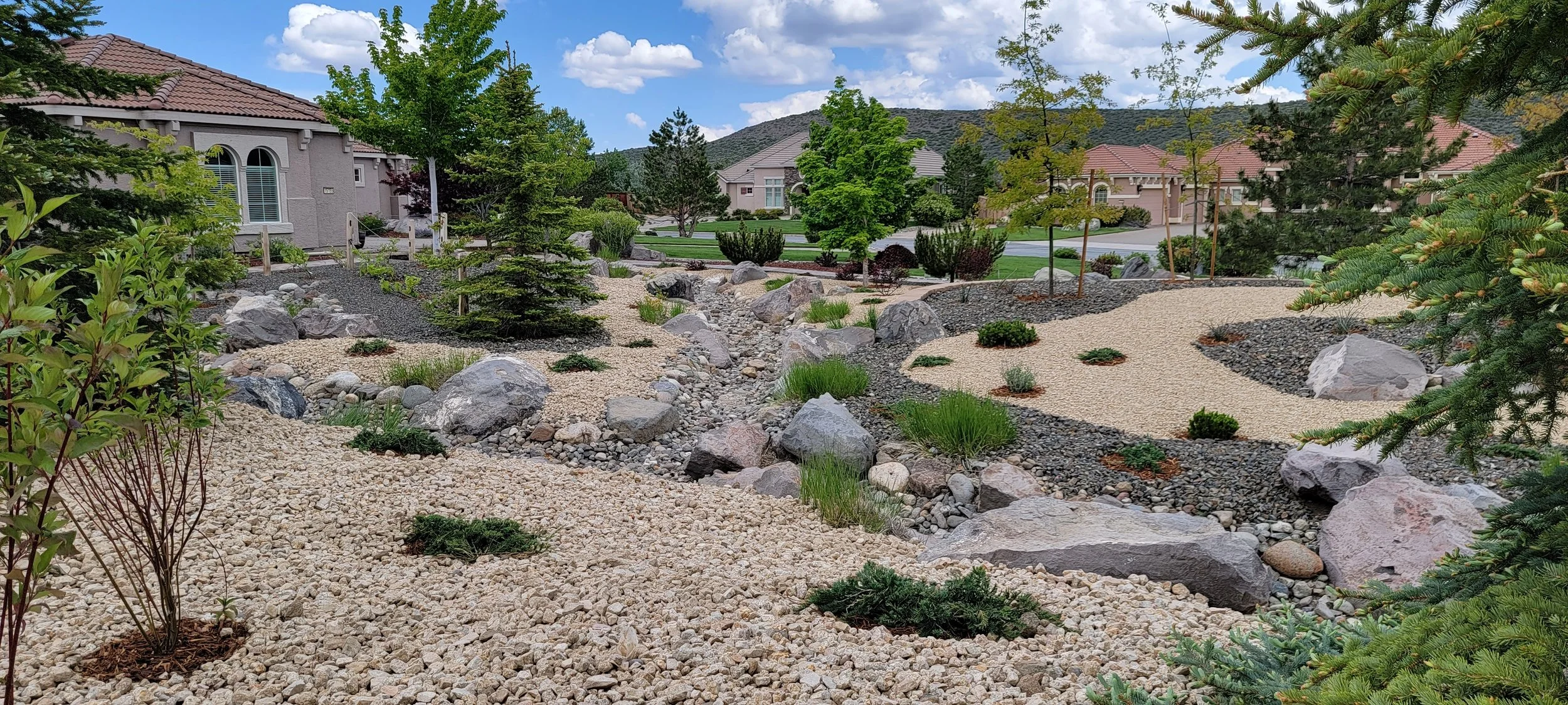 Naturalistic residential landscape featuring a dry creek bed, decorative boulders, drought-tolerant planting, and ornamental trees.