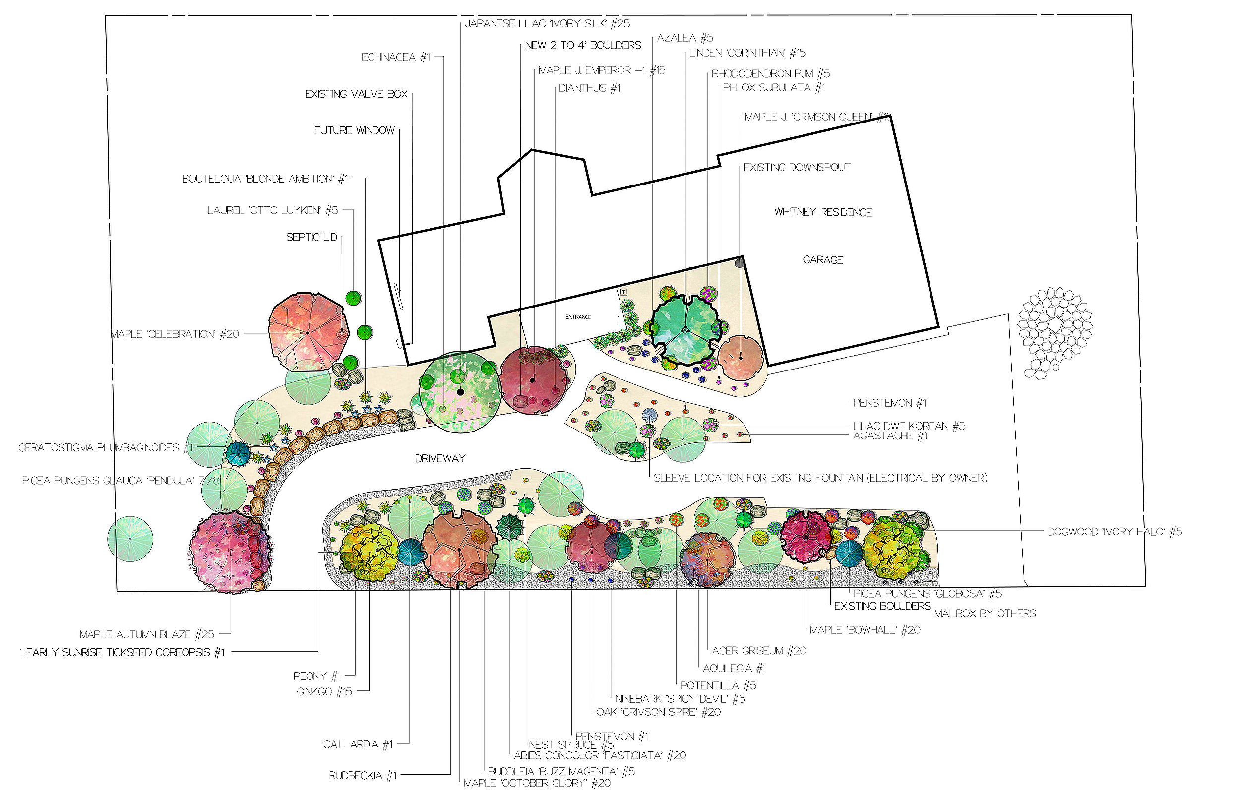 Residential planting plan featuring layered ornamental trees, shrubs, and perennial planting designed for year-round seasonal interest