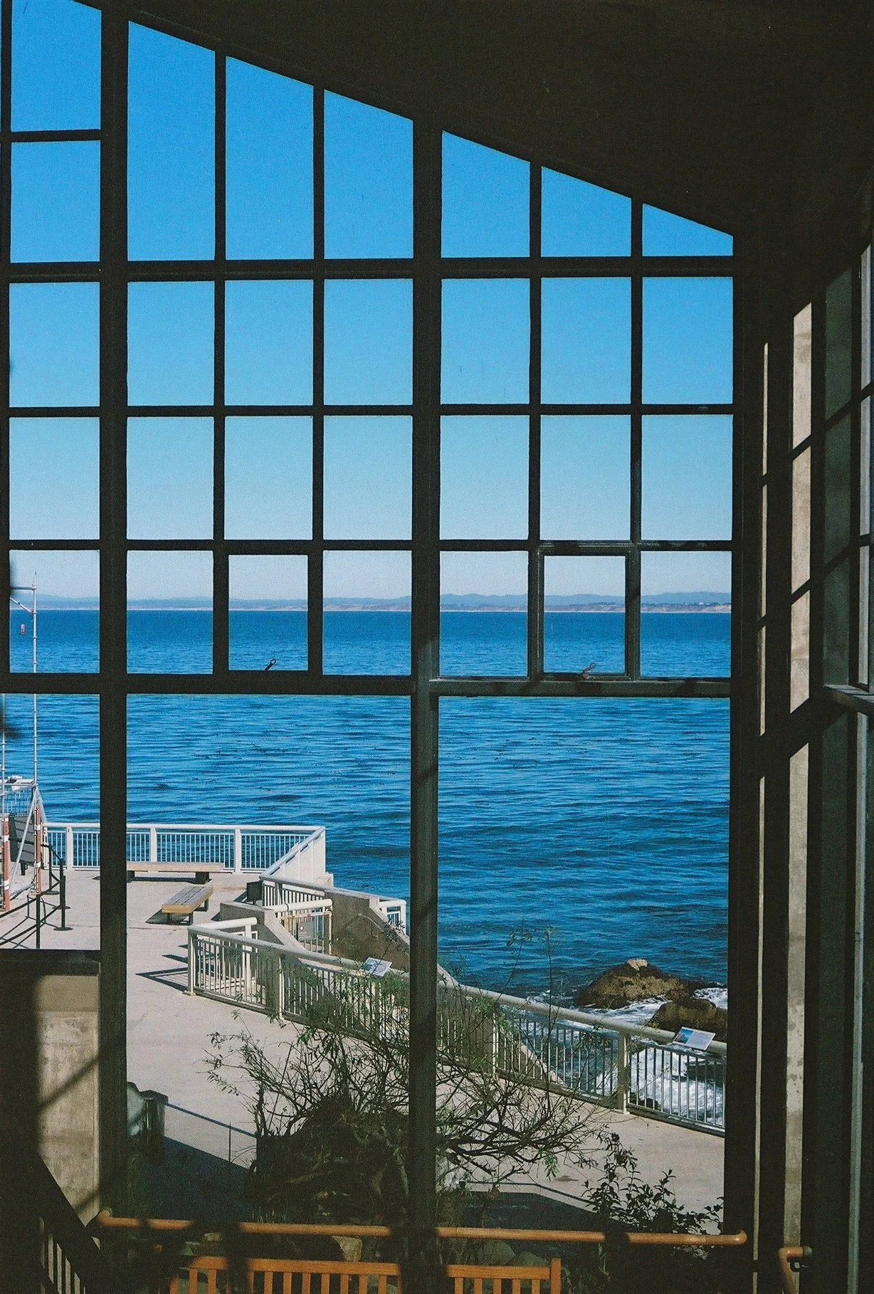 Through the glass of the Monterey Bay Aquarium in Monterey, California. 
