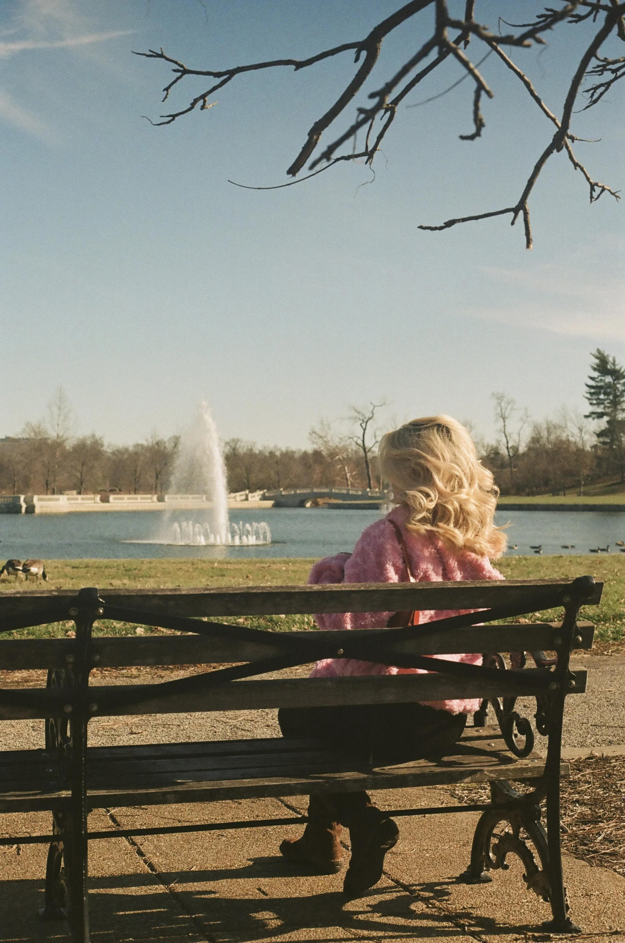 A film session in Forest Park in St. Louis, Missouri.