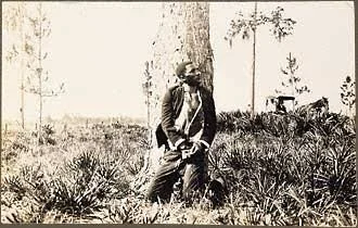 A man standing outdoors near a tree with a backpack, surrounded by shrubbery and open field.