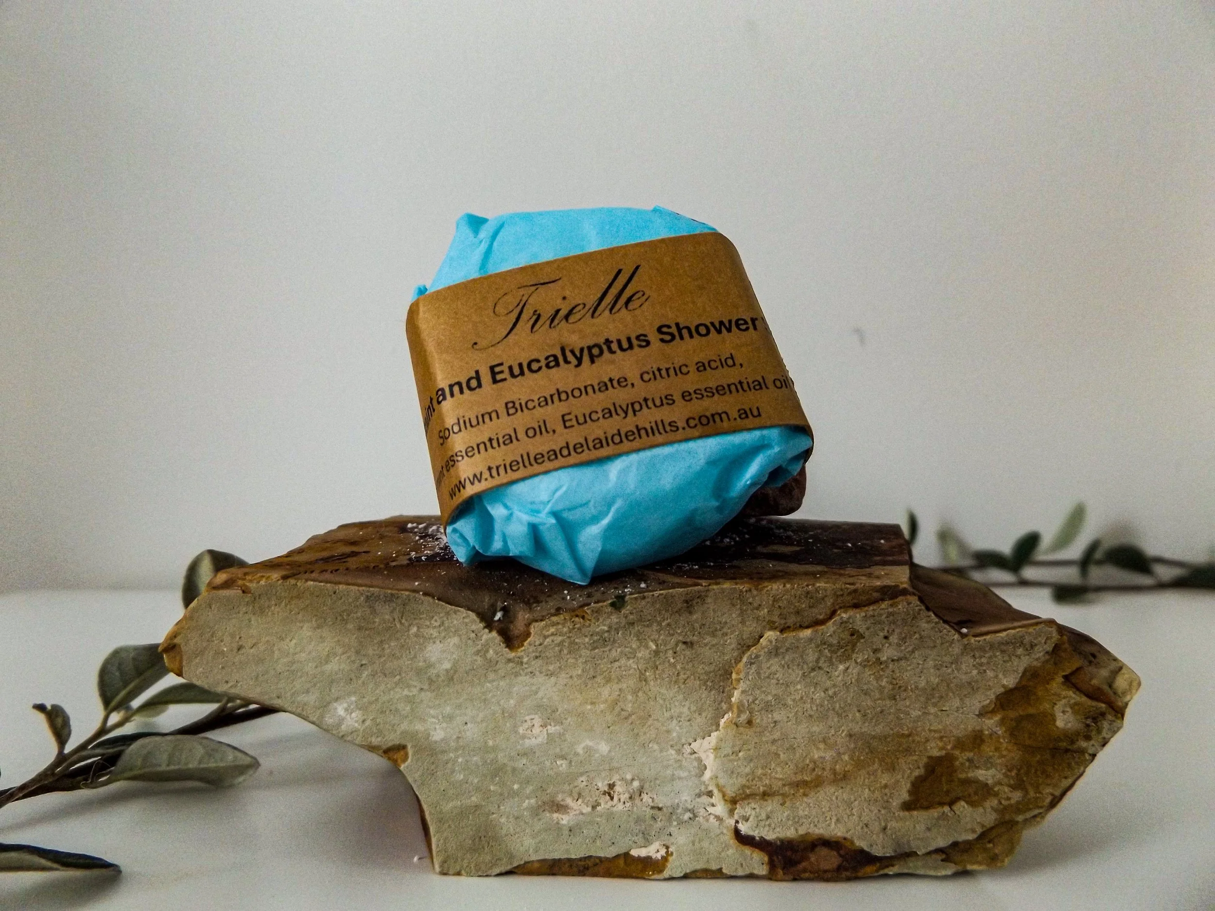 Peppermint & Eucalyptus Shower Steamer