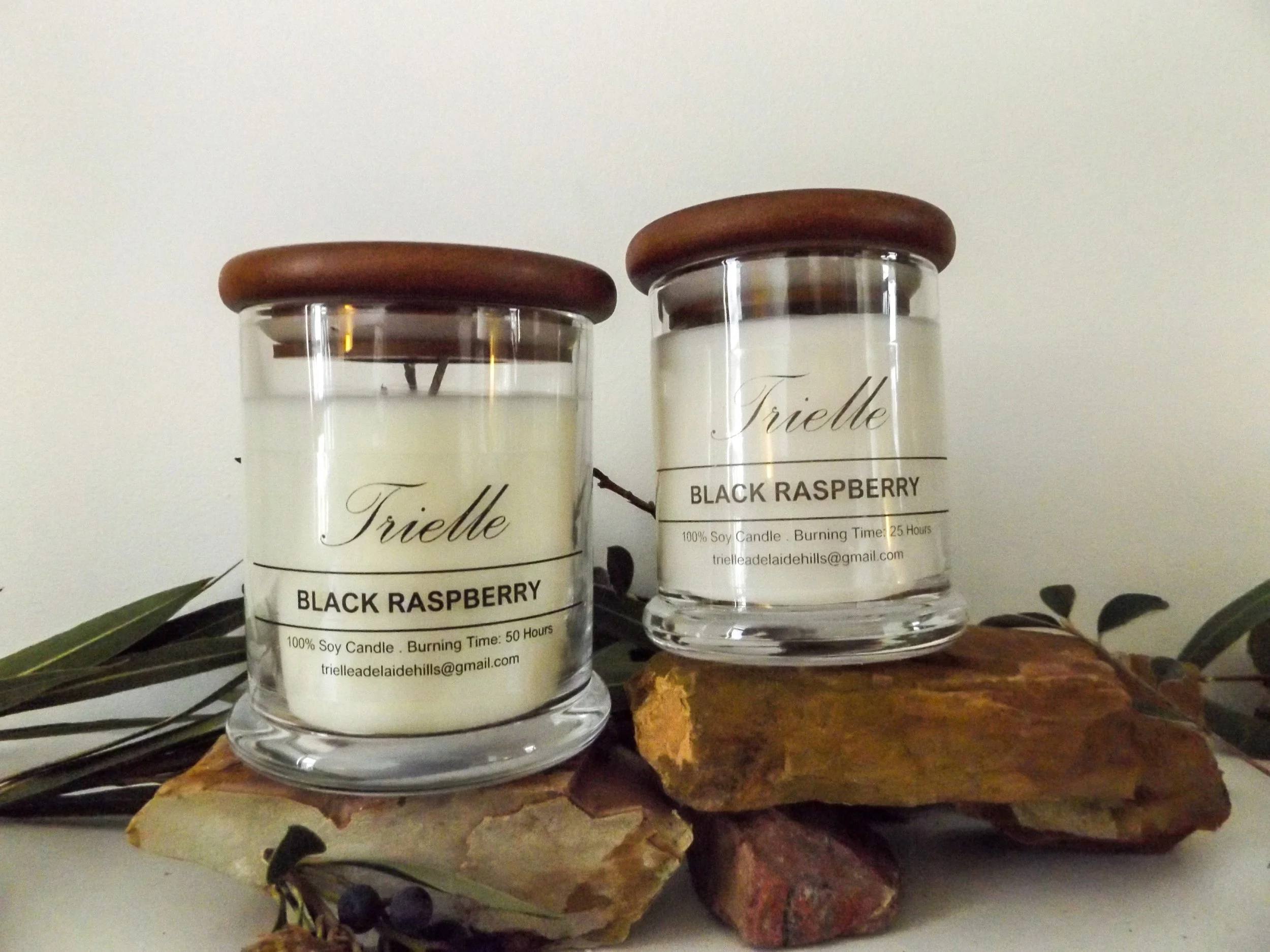 Black Raspberry Candle_ moneyshots-4.jpg