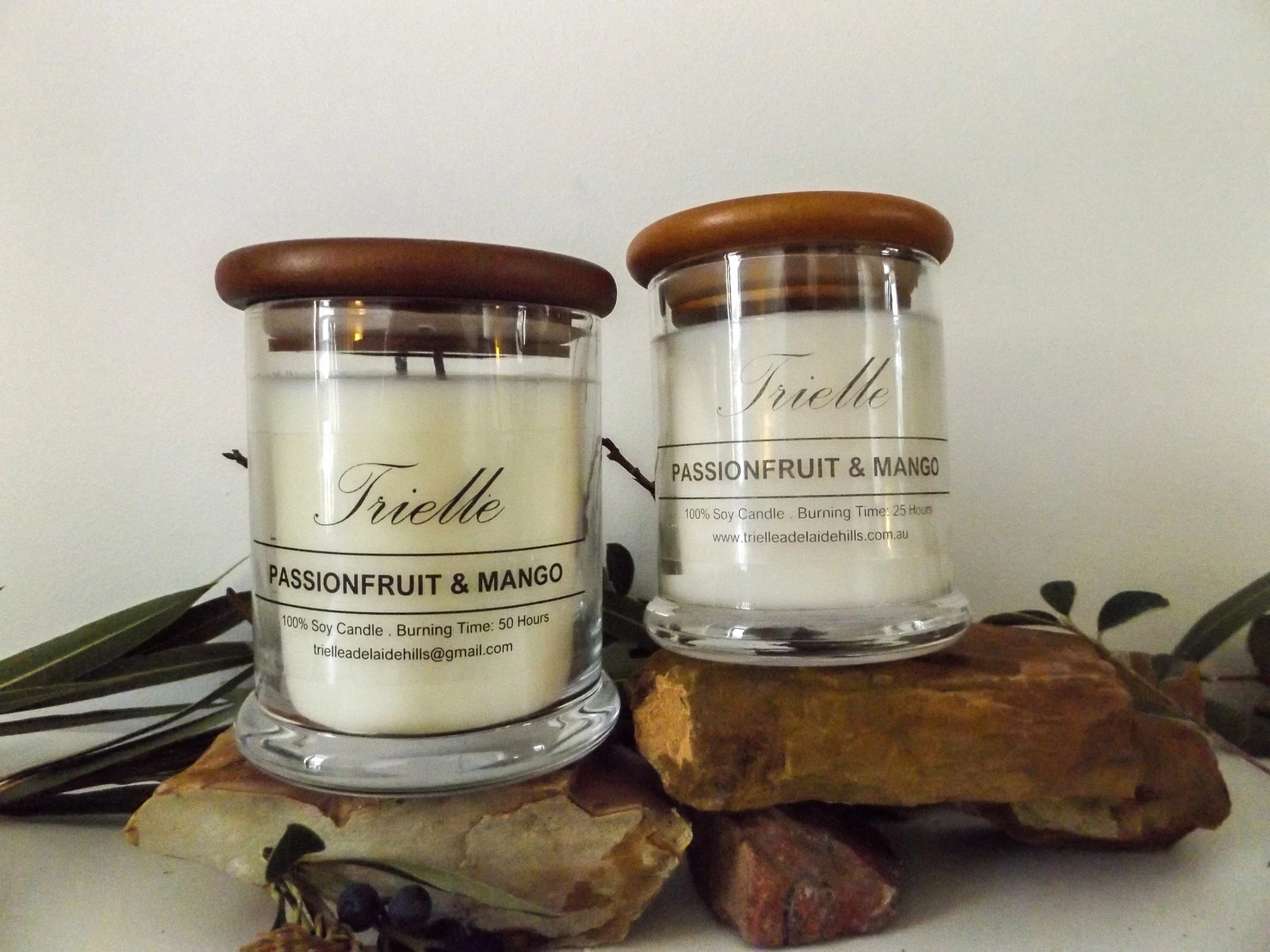 Passionfruit Mango Candles_ moneyshots-4.jpg