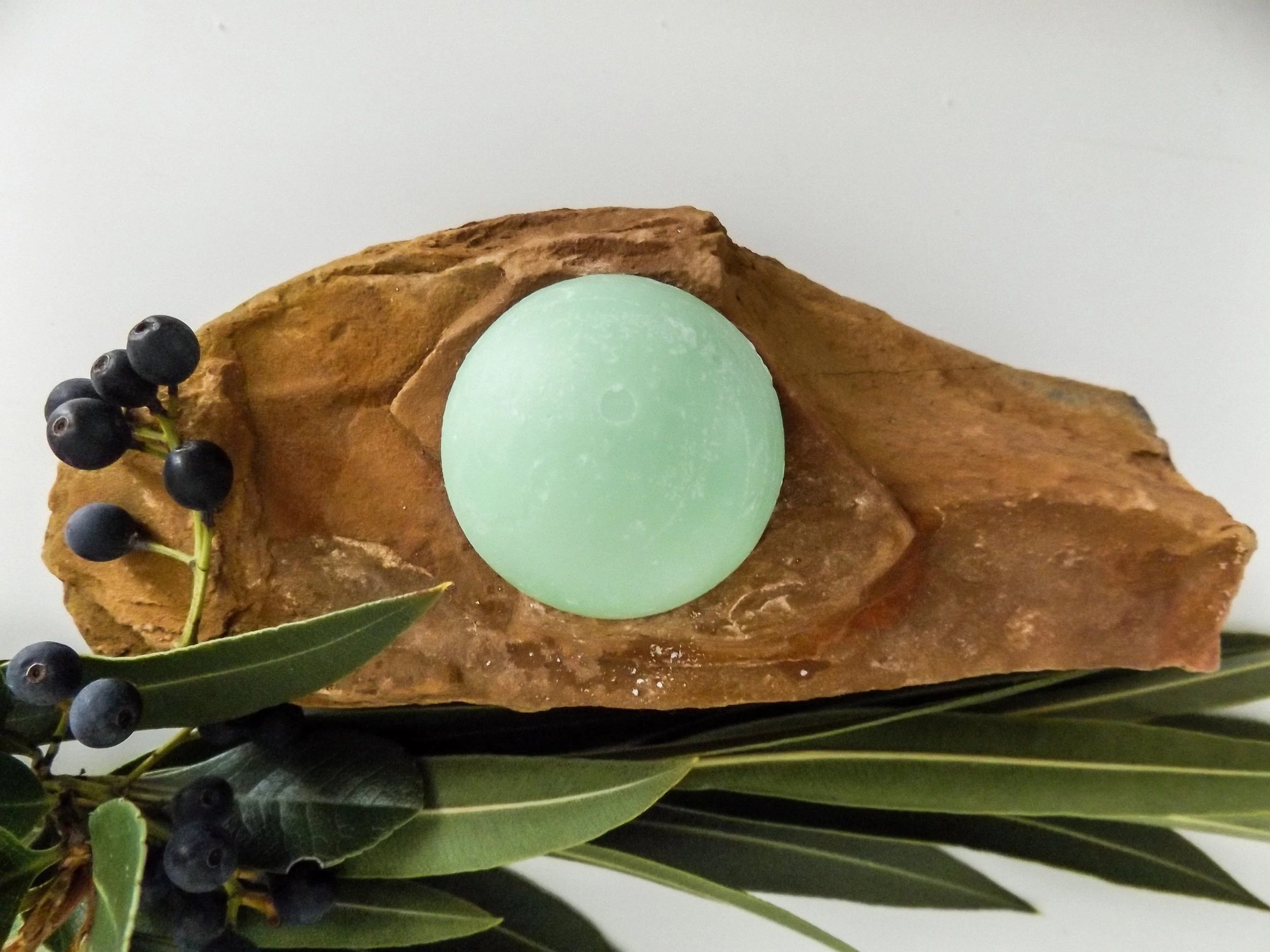 A green egg resting on a piece of wood, surrounded by dark berries and green leaves.