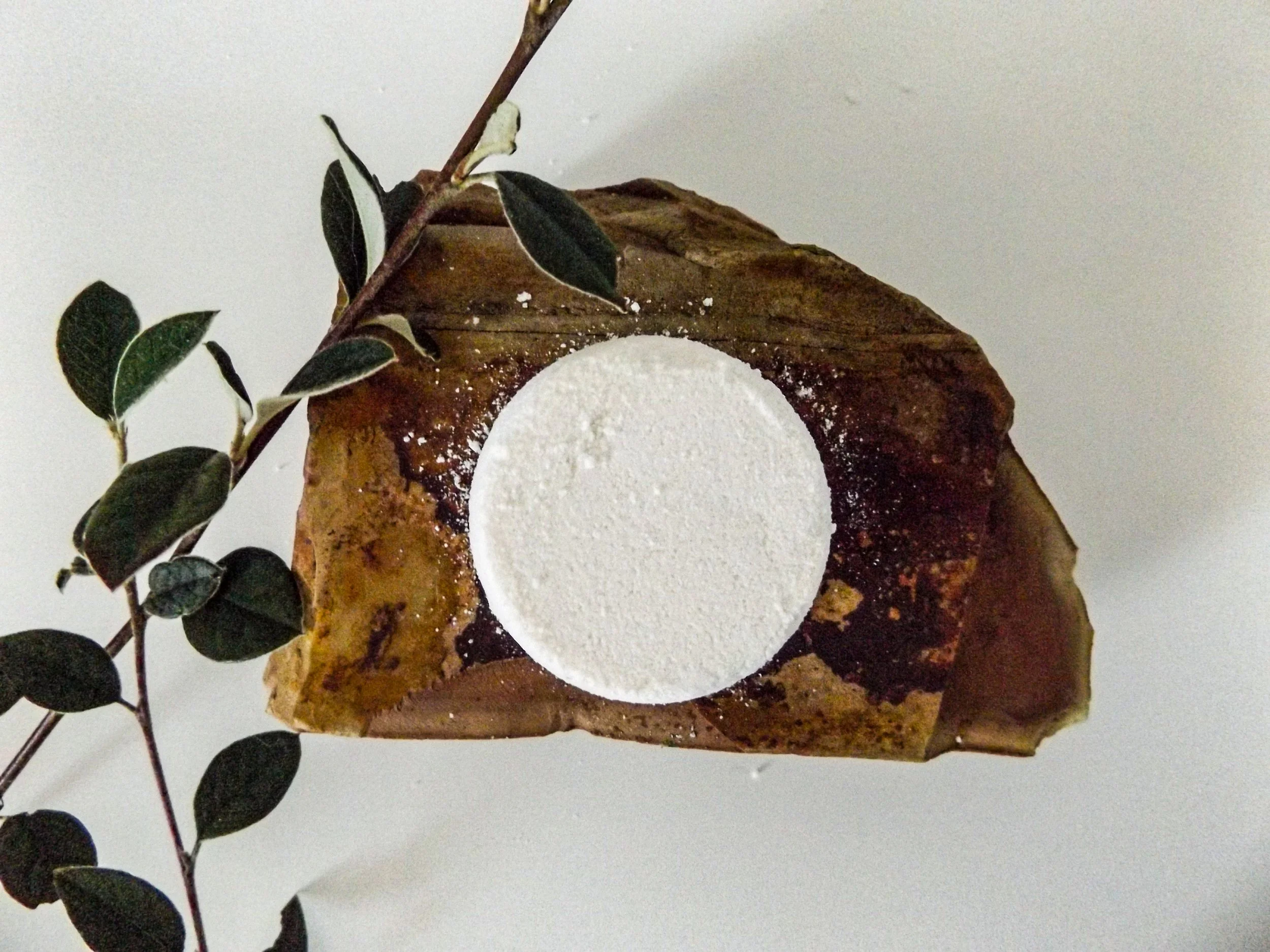 All Shower Steamers moneyshots-13.jpg