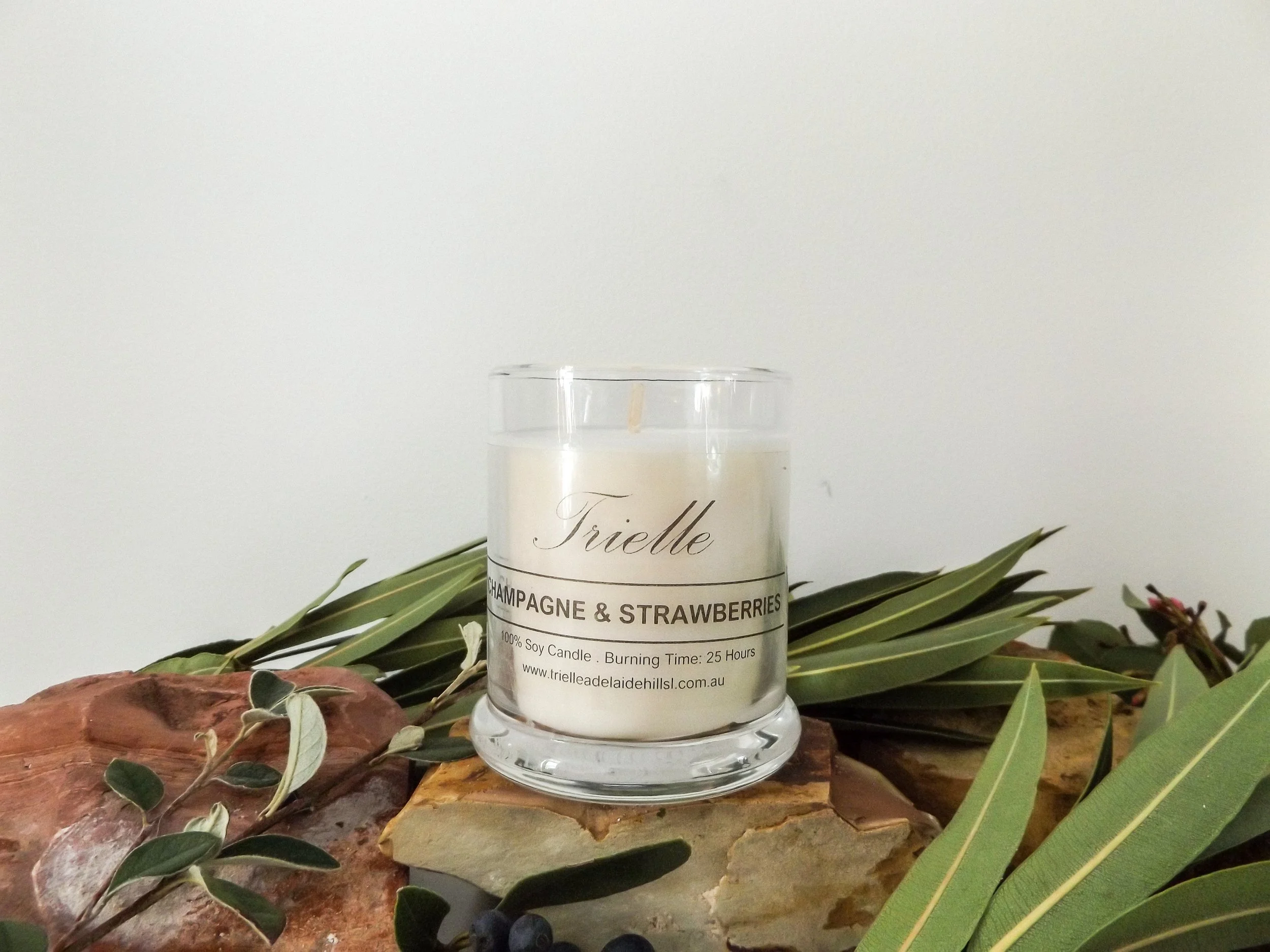 Champagne and Strawberries Candles_ moneyshots-5.jpg