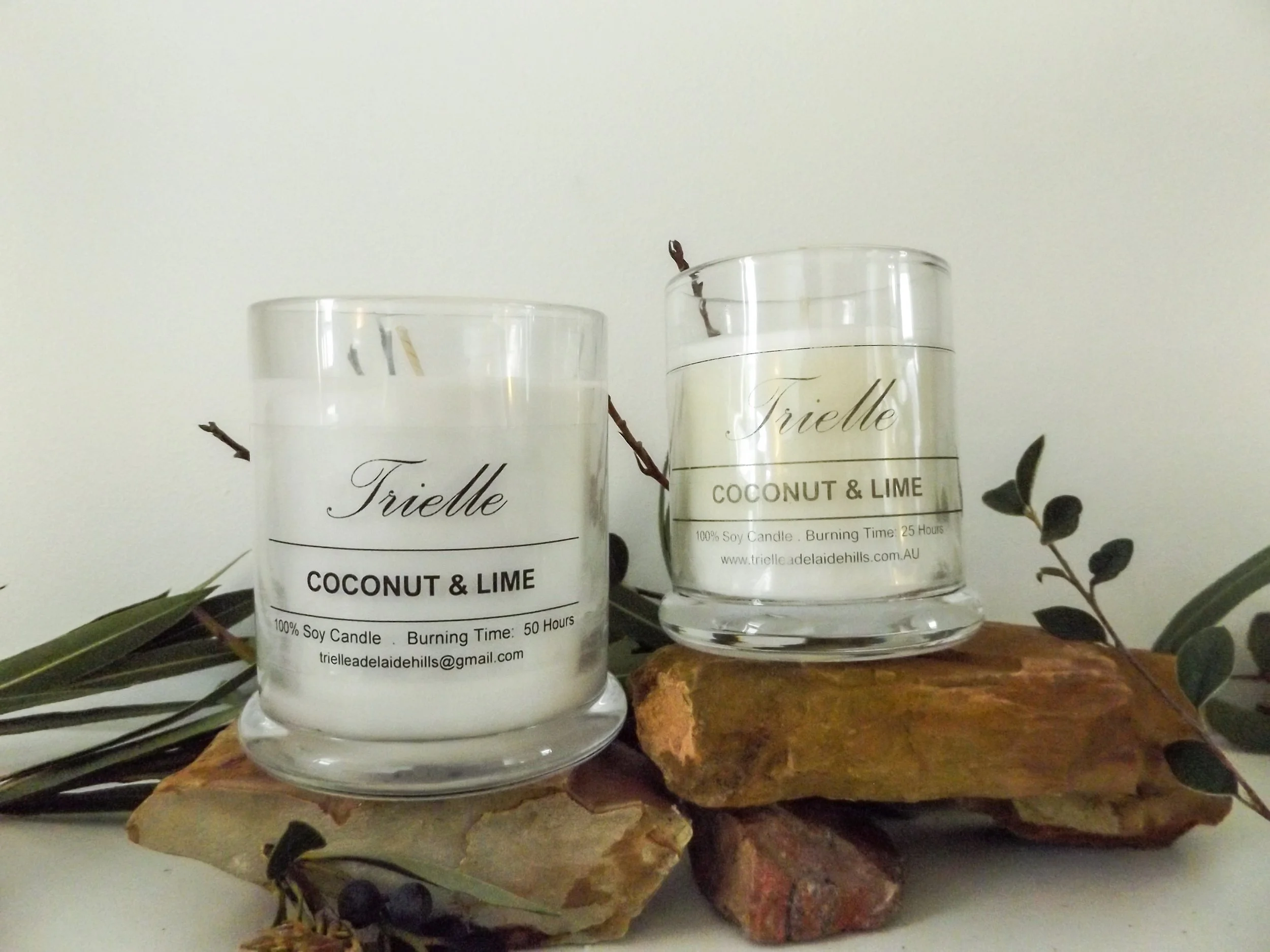 Coconut and Lime Candles_ moneyshots-2.jpg