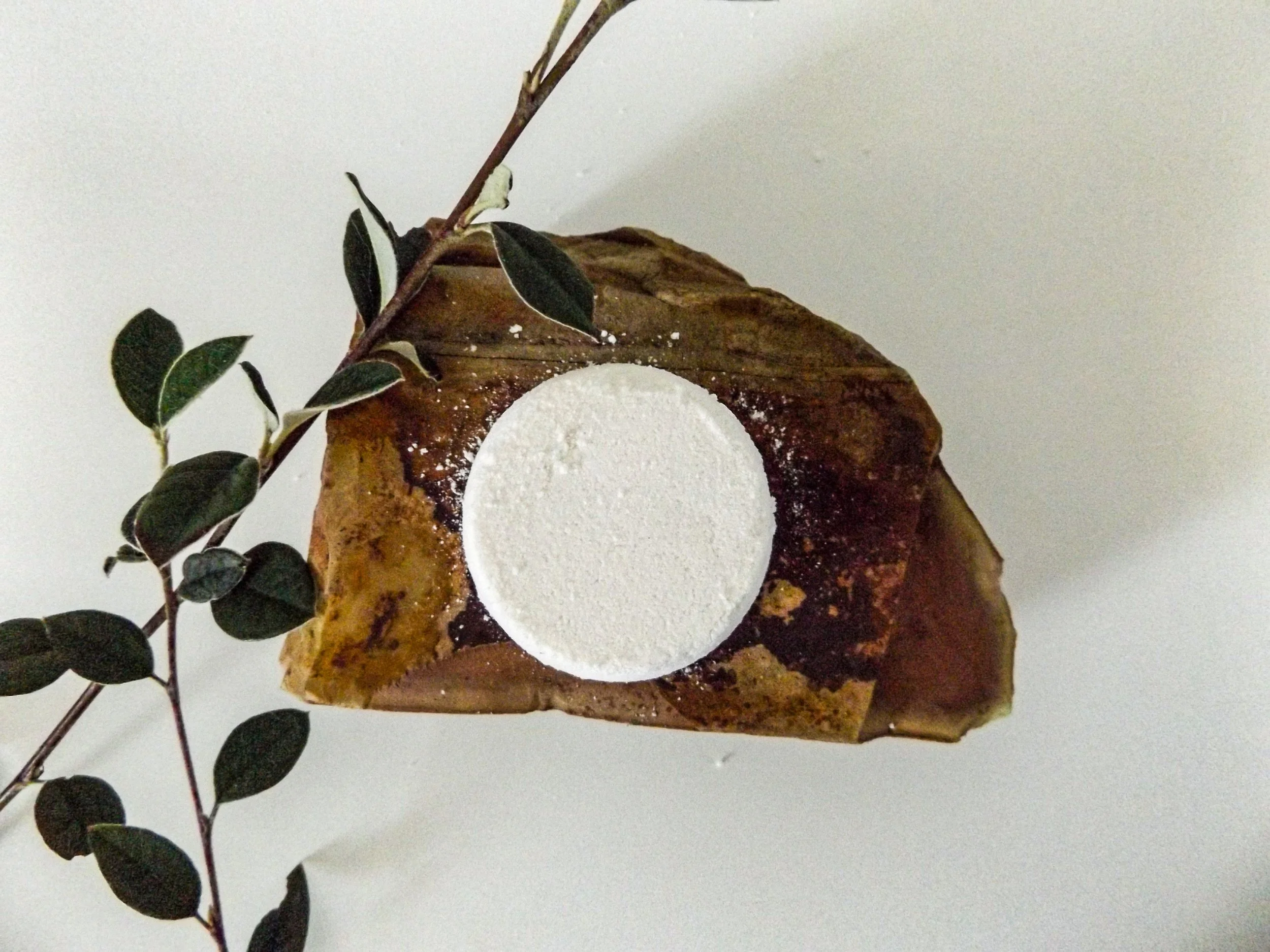 All Shower Steamers moneyshots-14.jpg