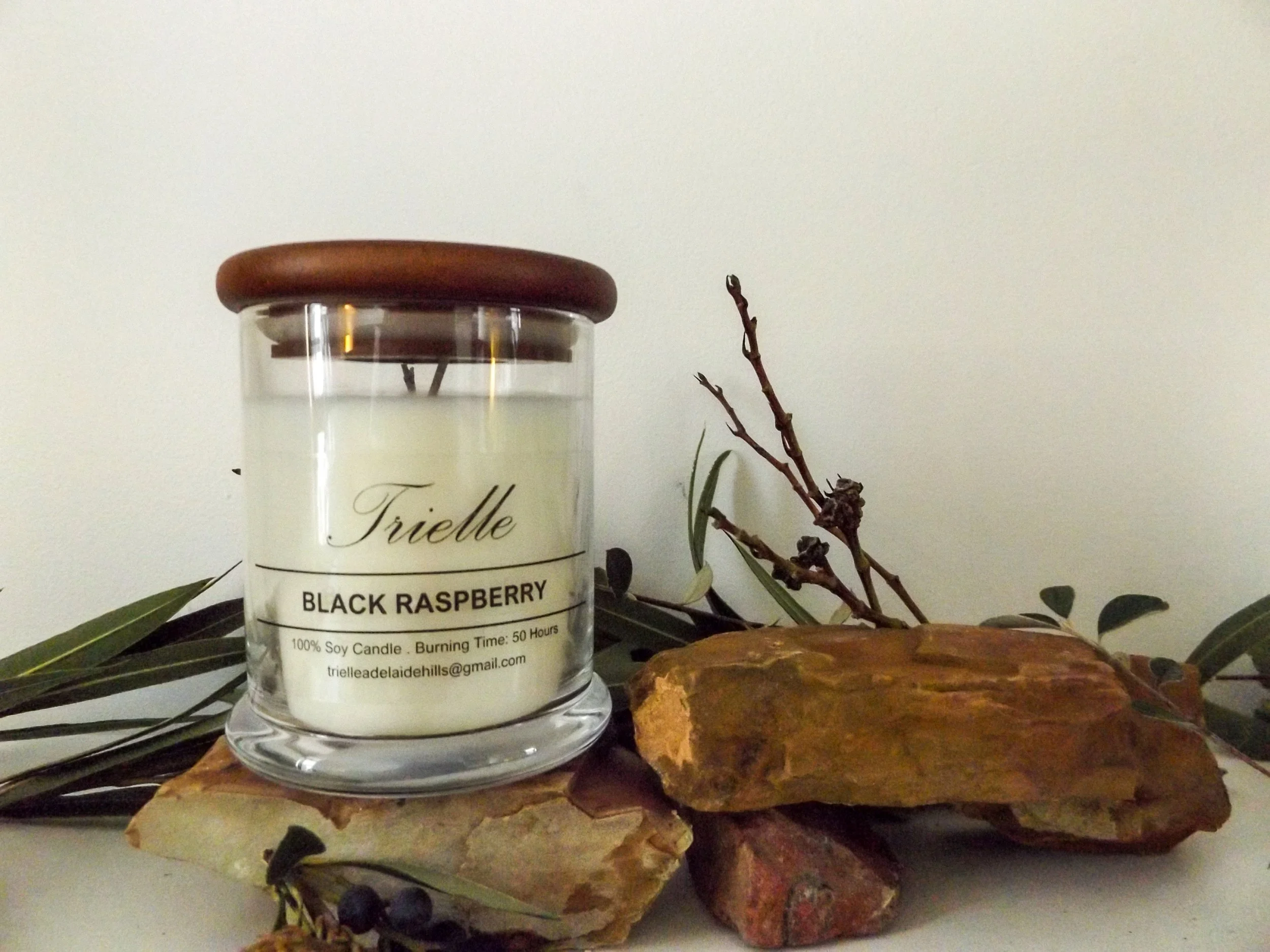 Black Raspberry Candle_ moneyshots-1.jpg