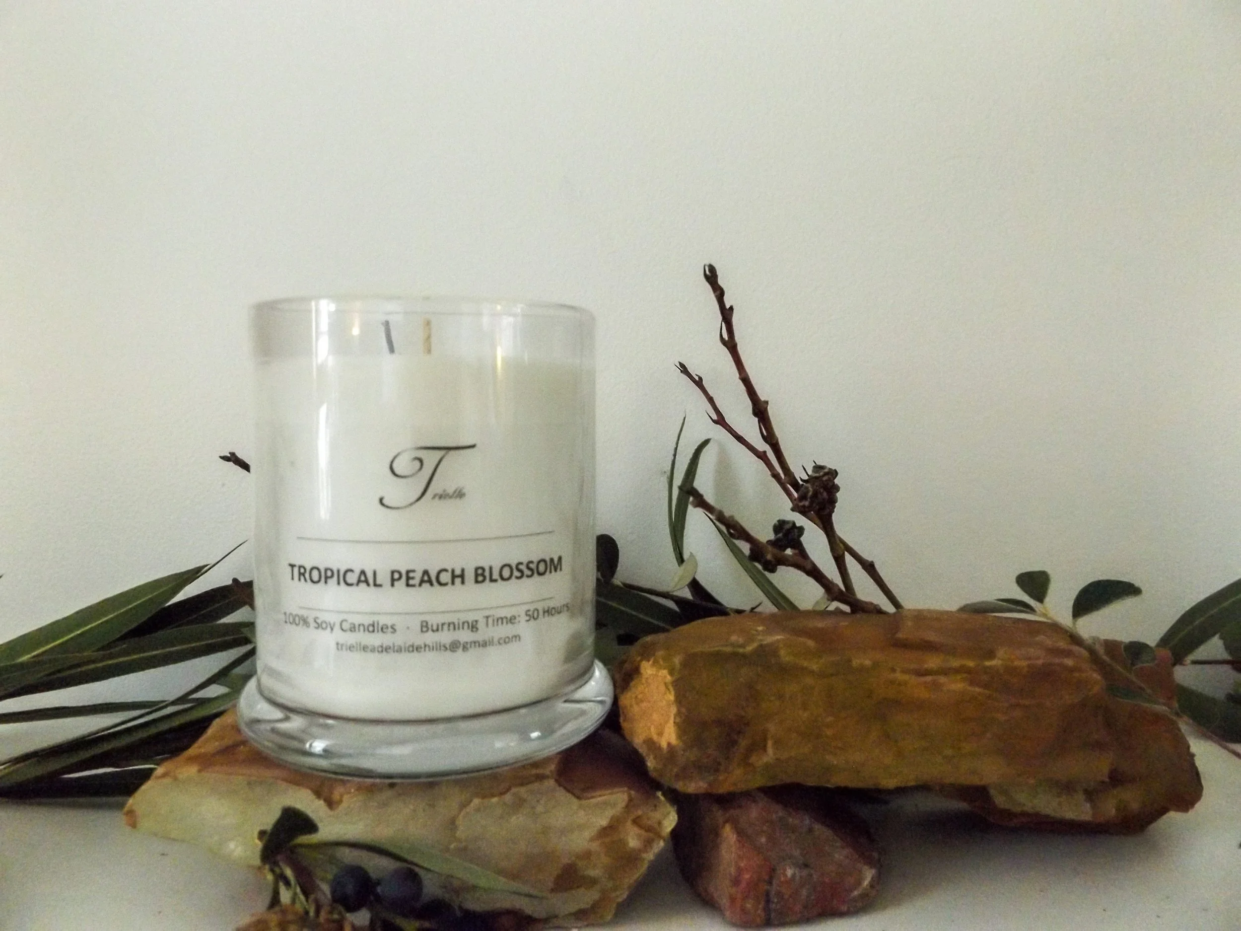 Tropical Peach Blossom Candles_ moneyshots-2.jpg