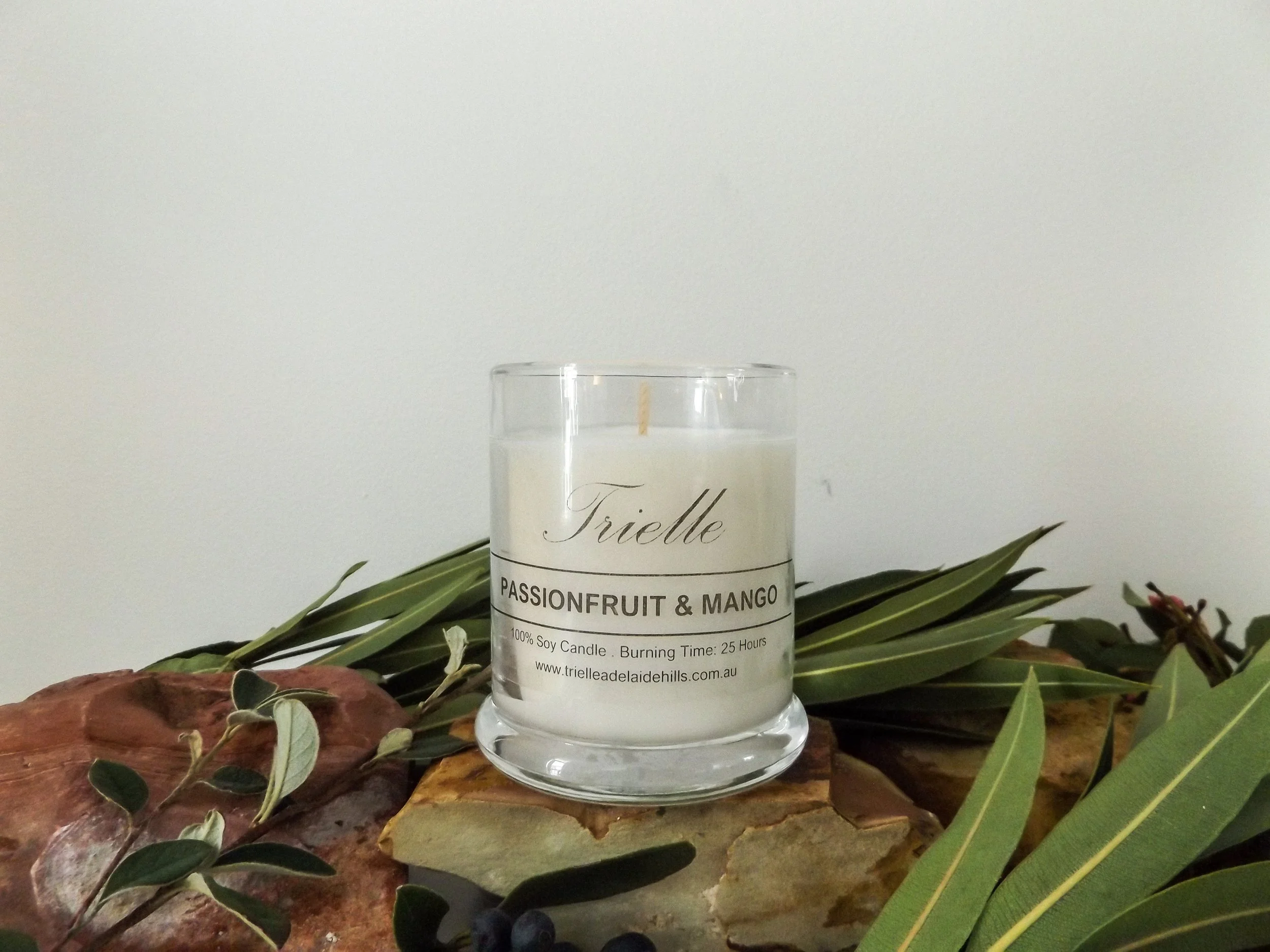 Passionfruit Mango Candles_ moneyshots-5.jpg