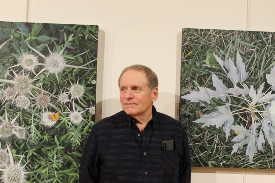 Tom Stead’s work featured in Appleton Gallery until early February