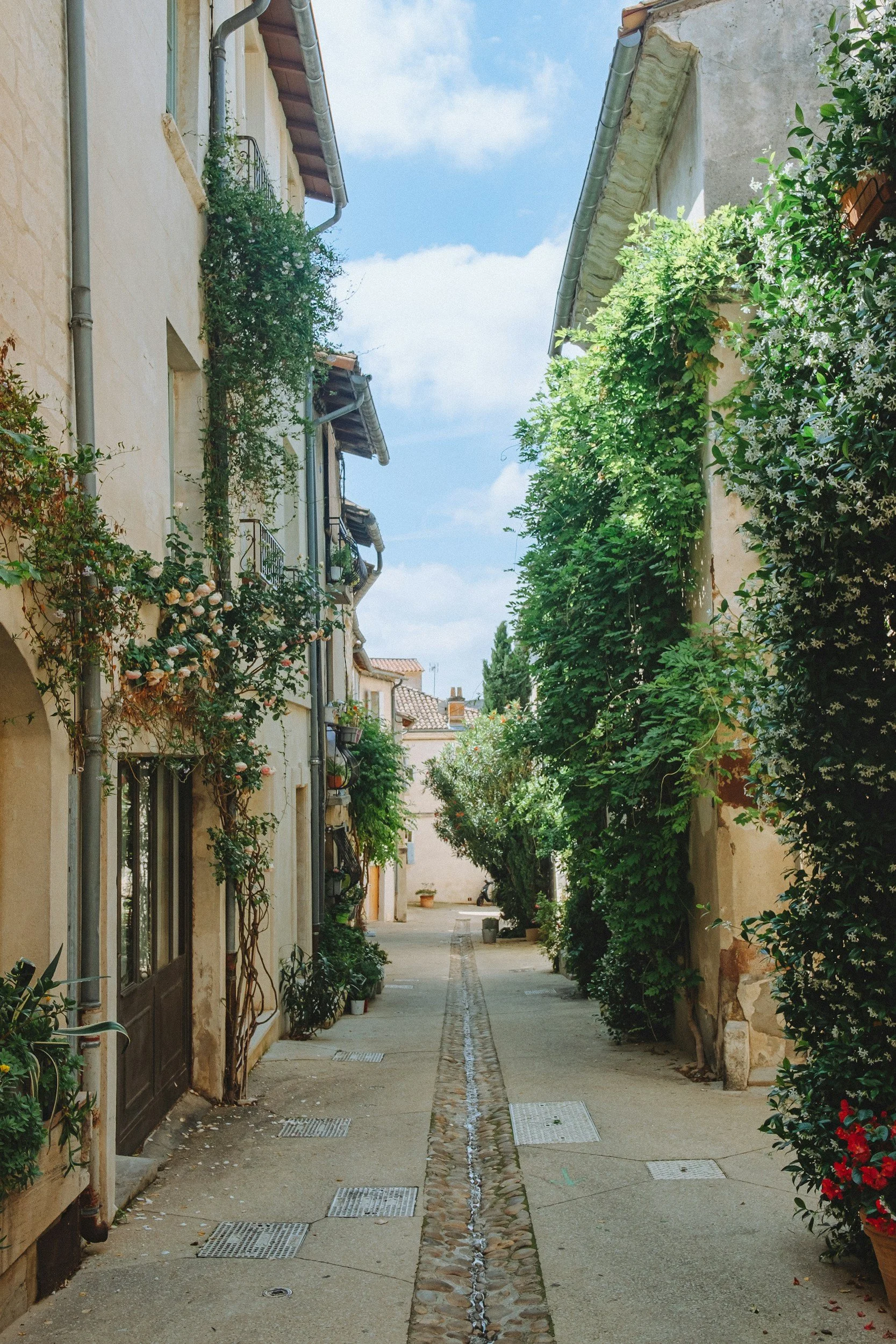 A narrow street in a European town with old buildings, climbing plants, and flowers, under a partly cloudy sky.