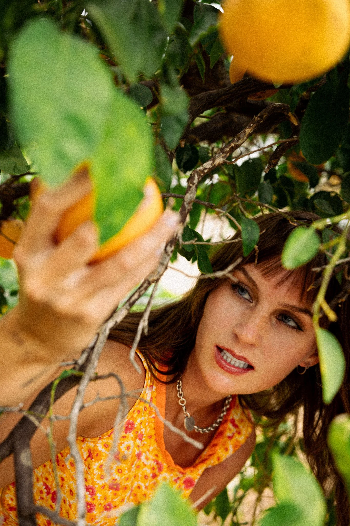 A woman with brown hair and blue eyes is looking through a tree with green leaves and yellow fruit, possibly lemons, wearing an orange dress with a floral pattern and a silver chain necklace.